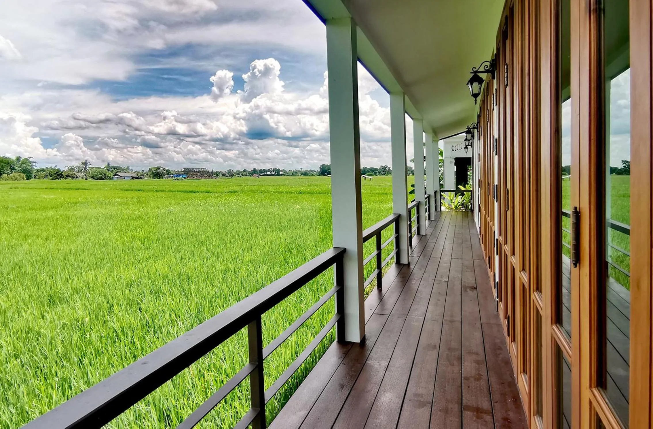 Natural landscape in Rice Villa Chiang Mai