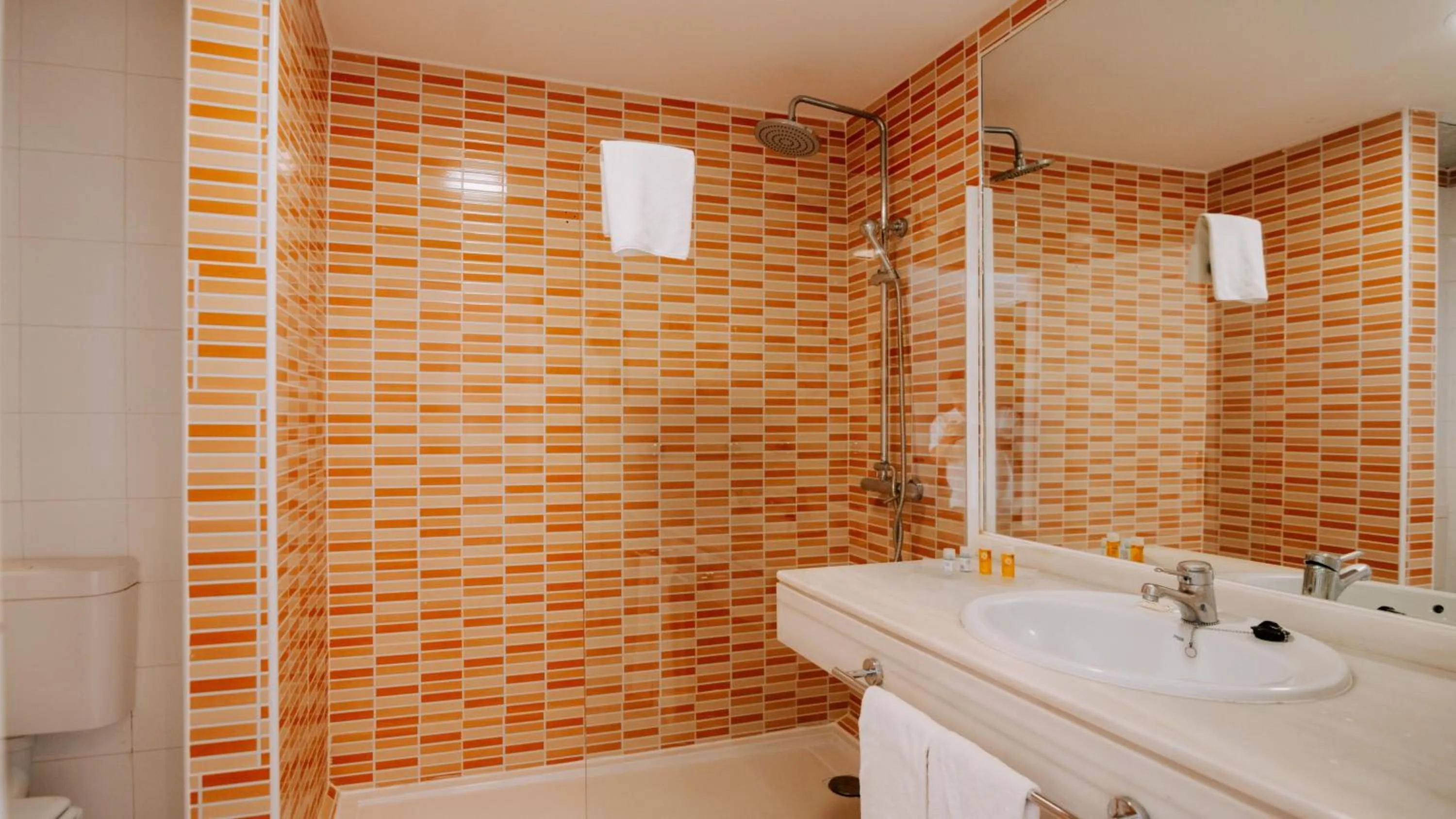 Bathroom in Hotel Bahia Sur