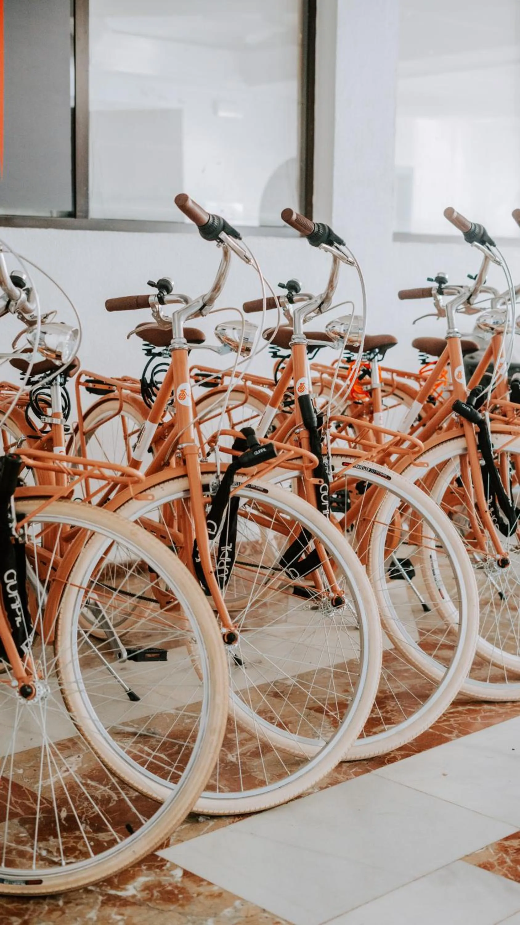 Cycling in Hotel Bahia Sur