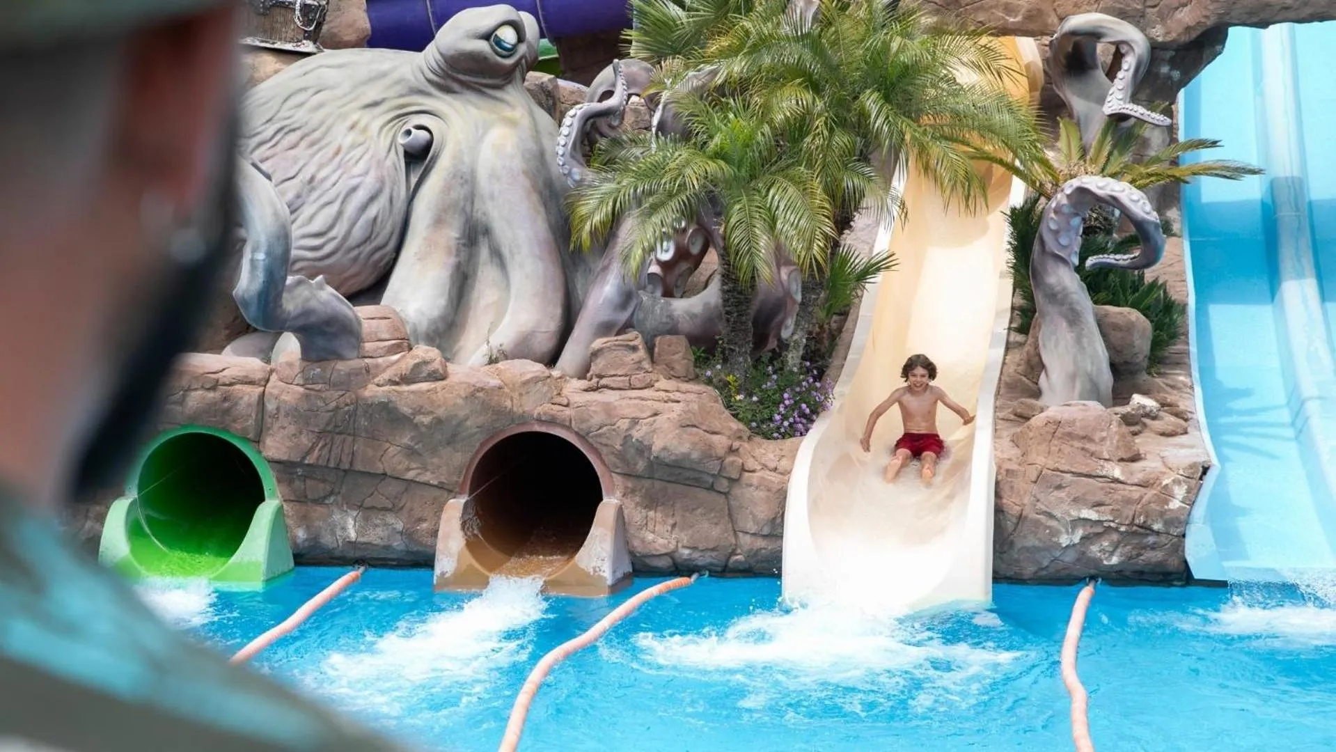 Swimming pool in Evenia Olympic Garden