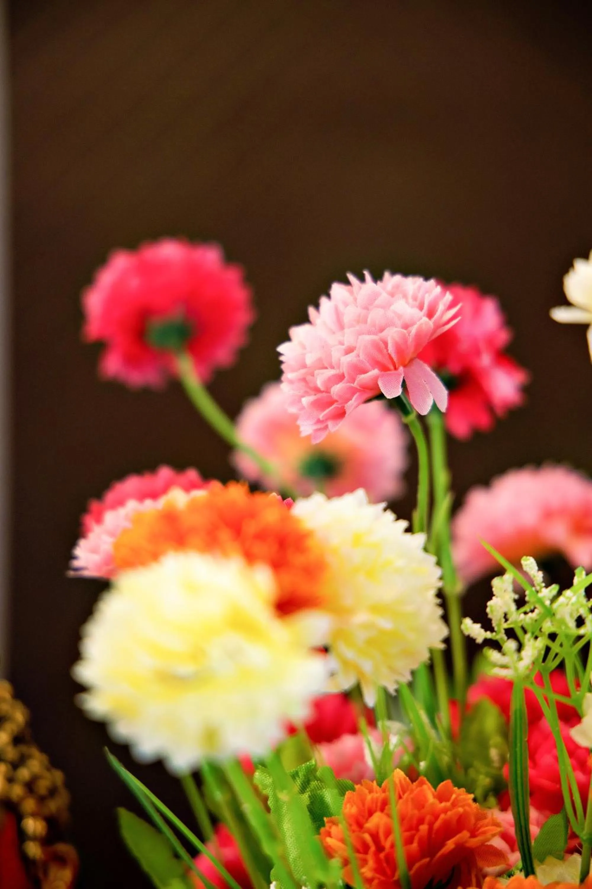 Garden view in Villa Grand Hotel Near Kempegowda International Airport
