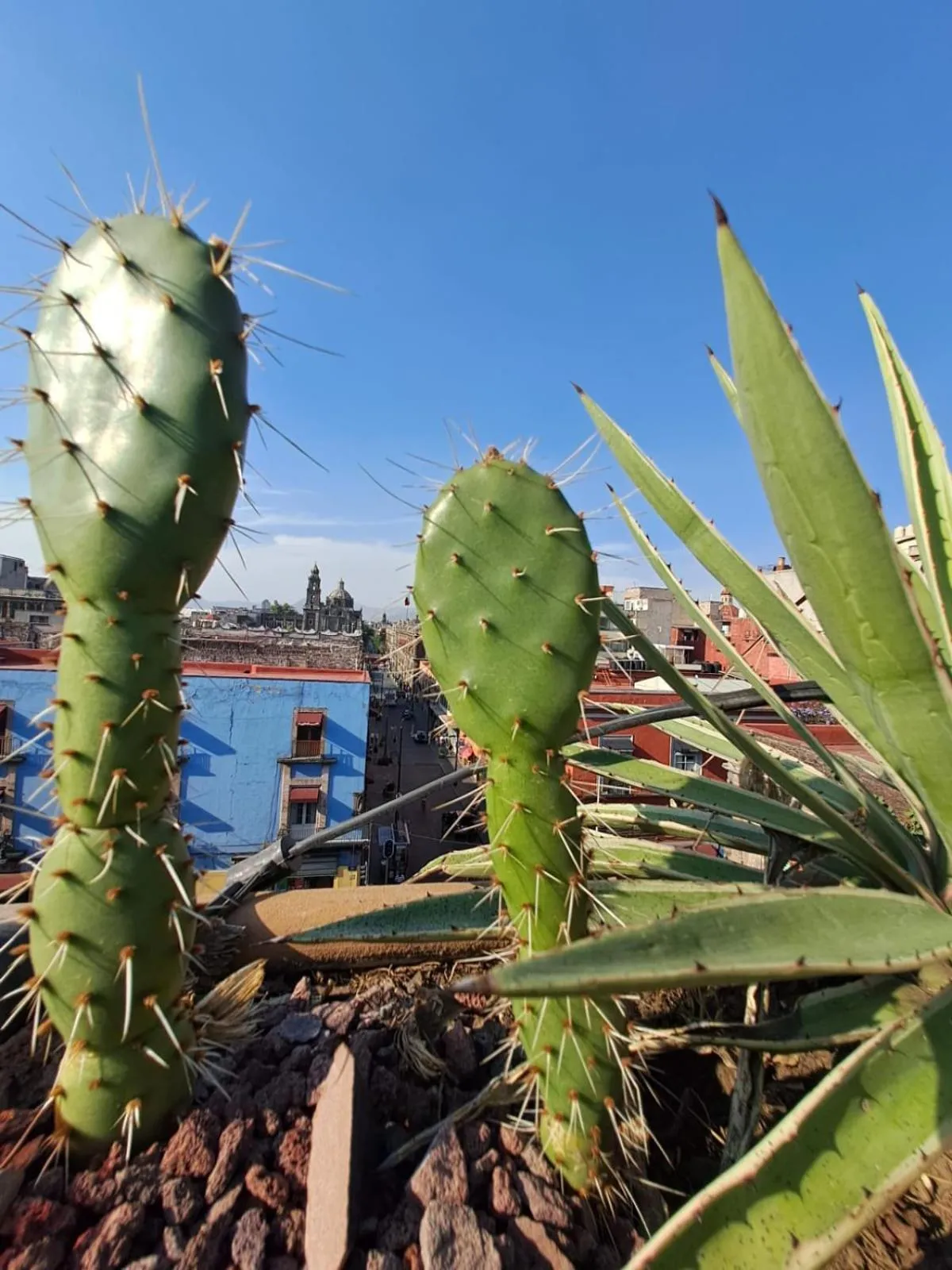 Casa Sabina Down Town Mexico City