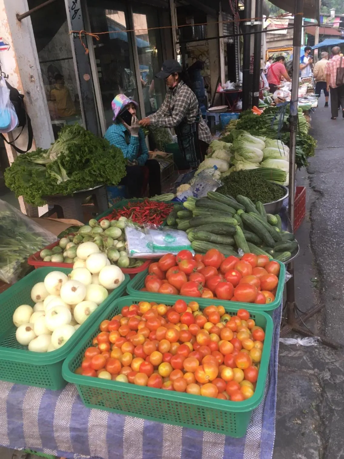 Off site in Triple Palms House