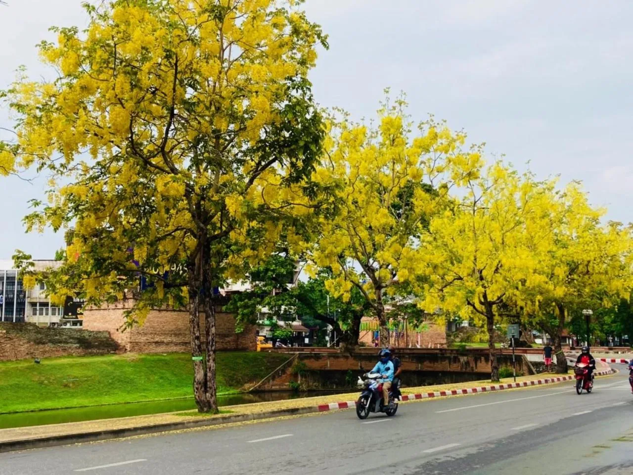 Nearby landmark in Triple Palms House