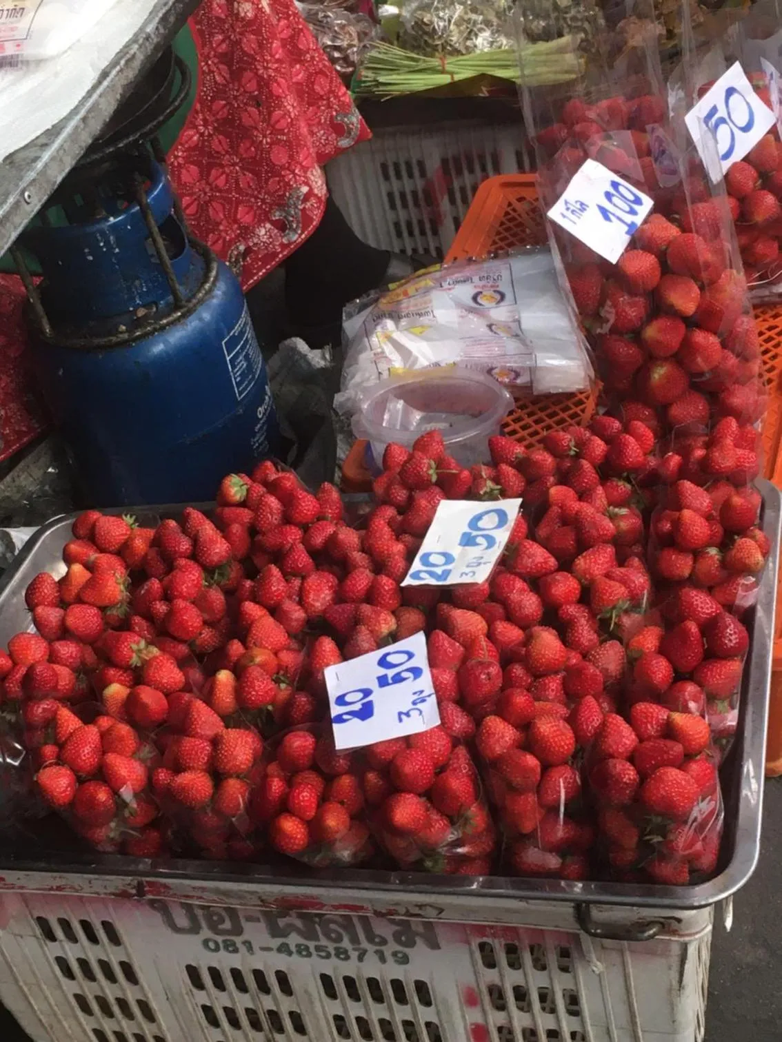 Off site in Triple Palms House