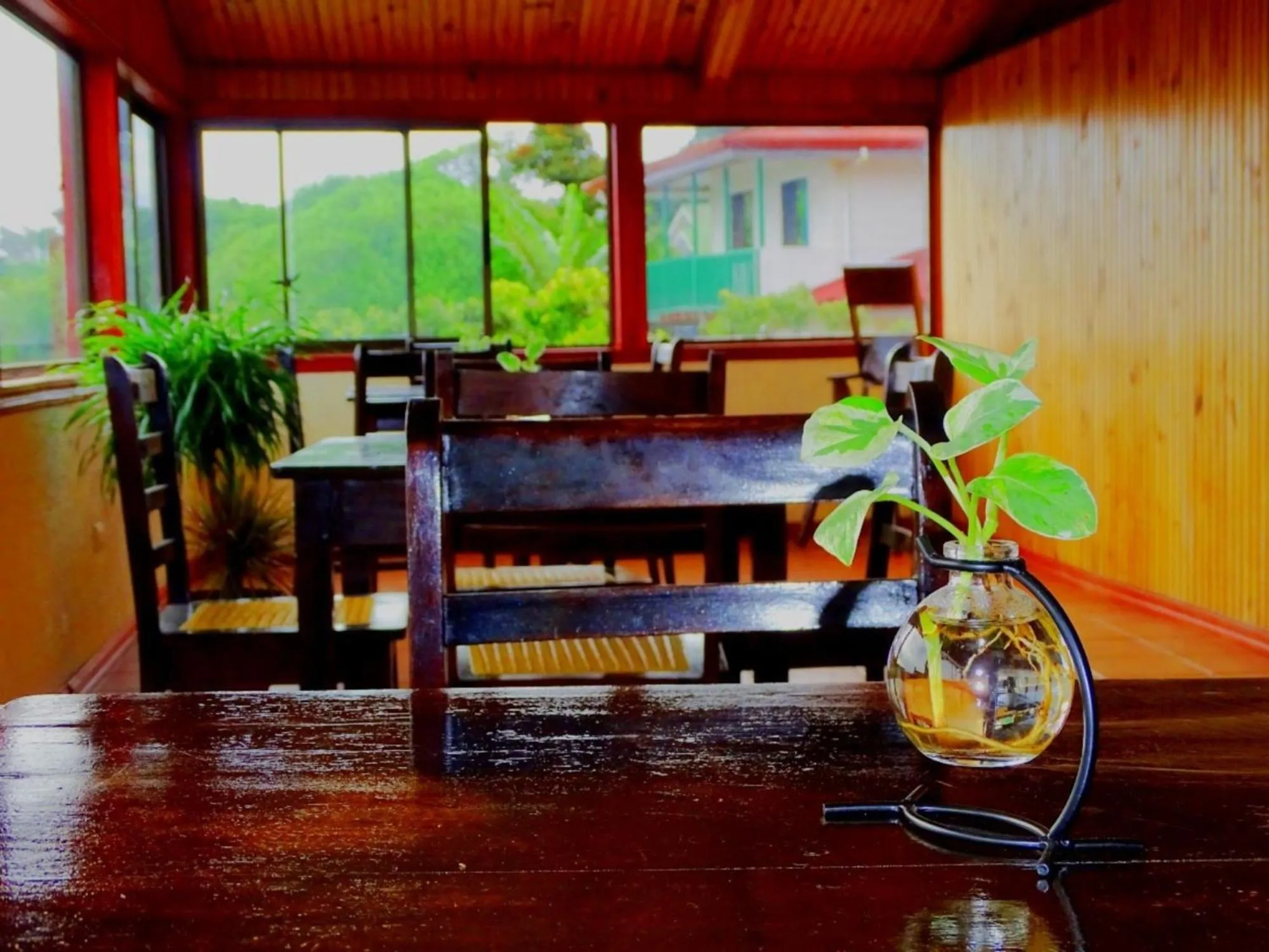 Miztli Lodge & Adventure