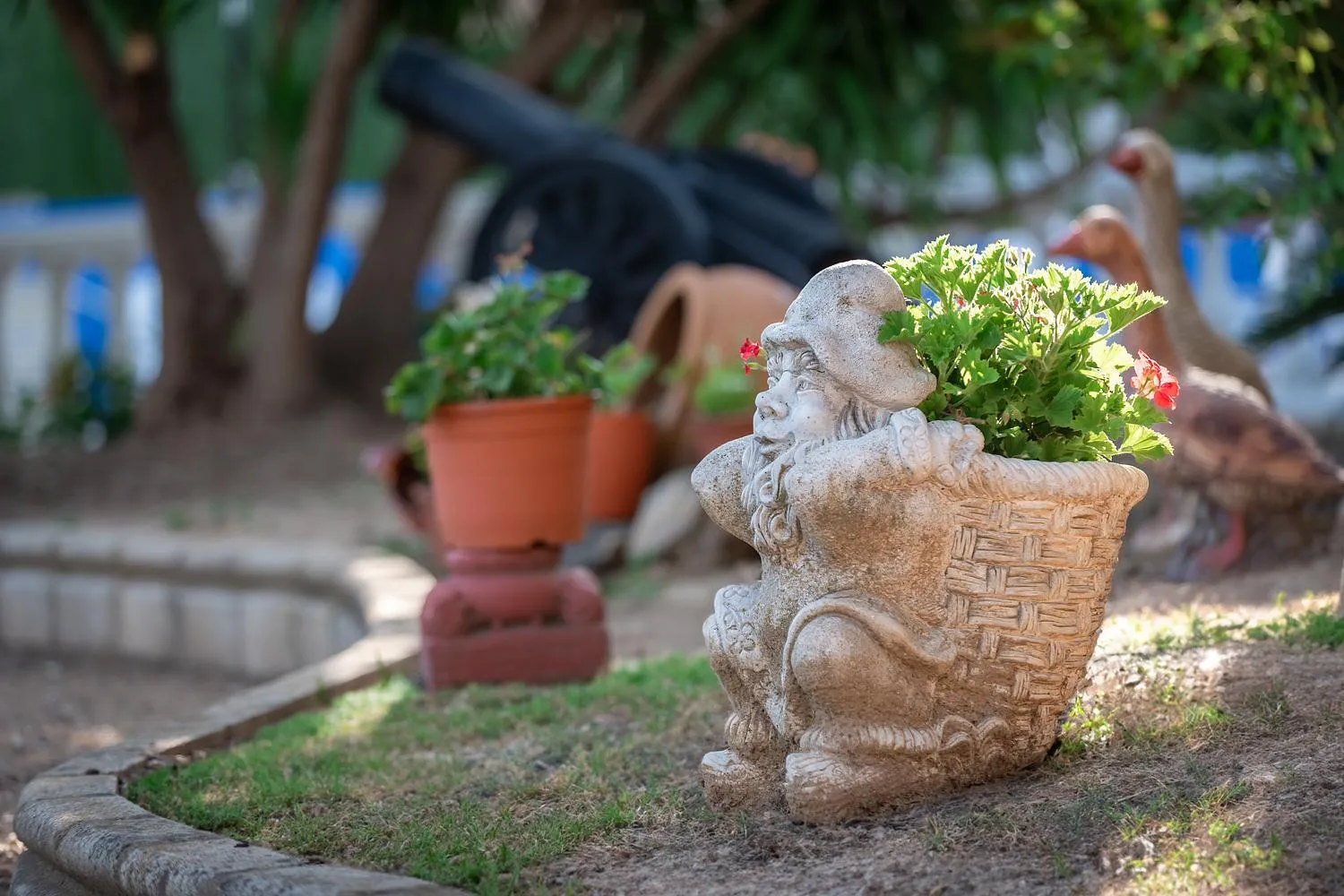Swimming pool in Hotel Zeus