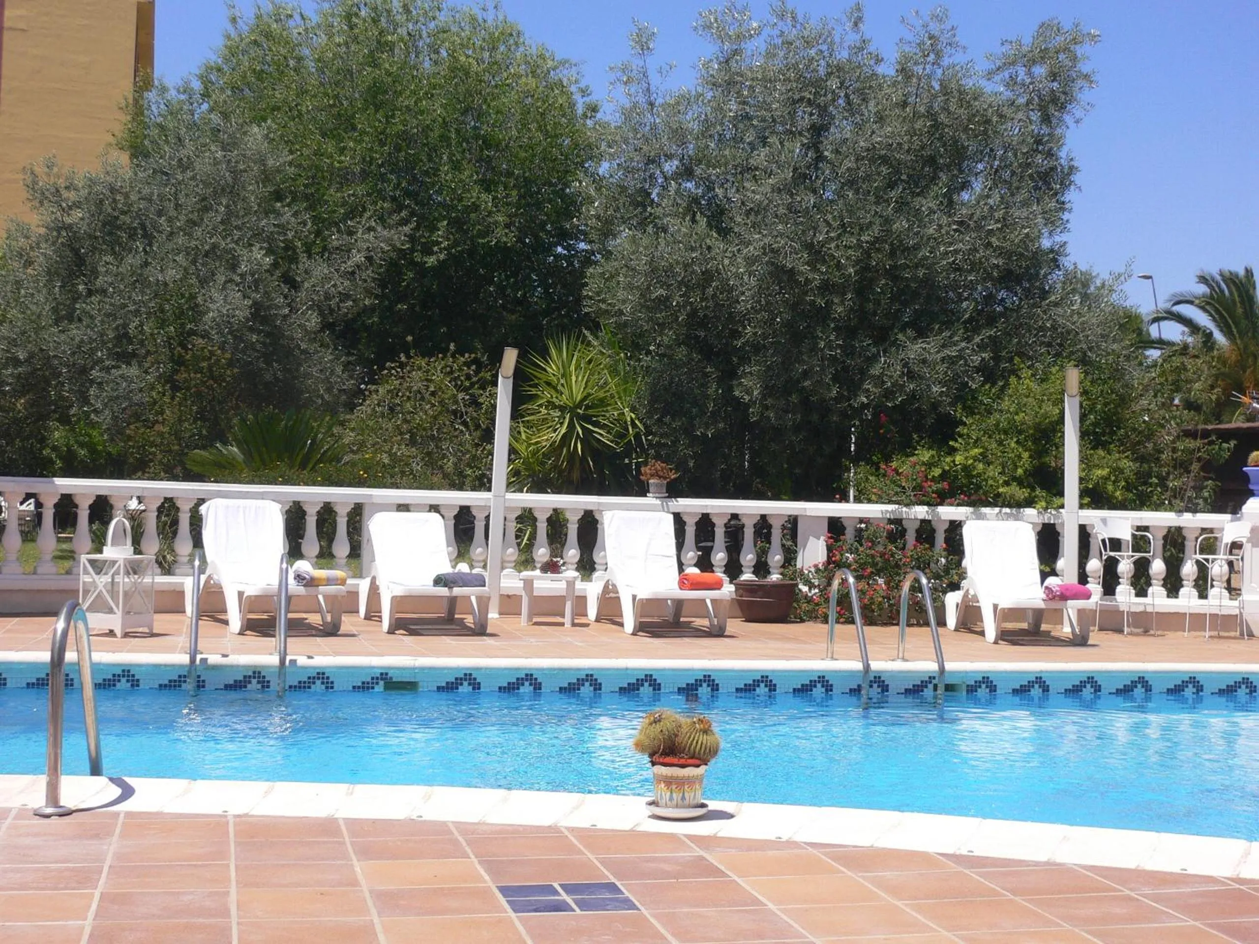 Swimming pool in Hotel Zeus