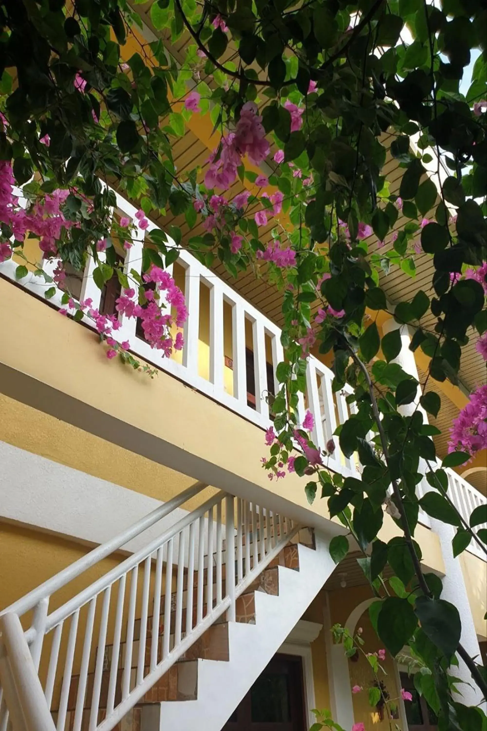 Garden view in Hanbee's Resort Garden view in Hanbee's Resort