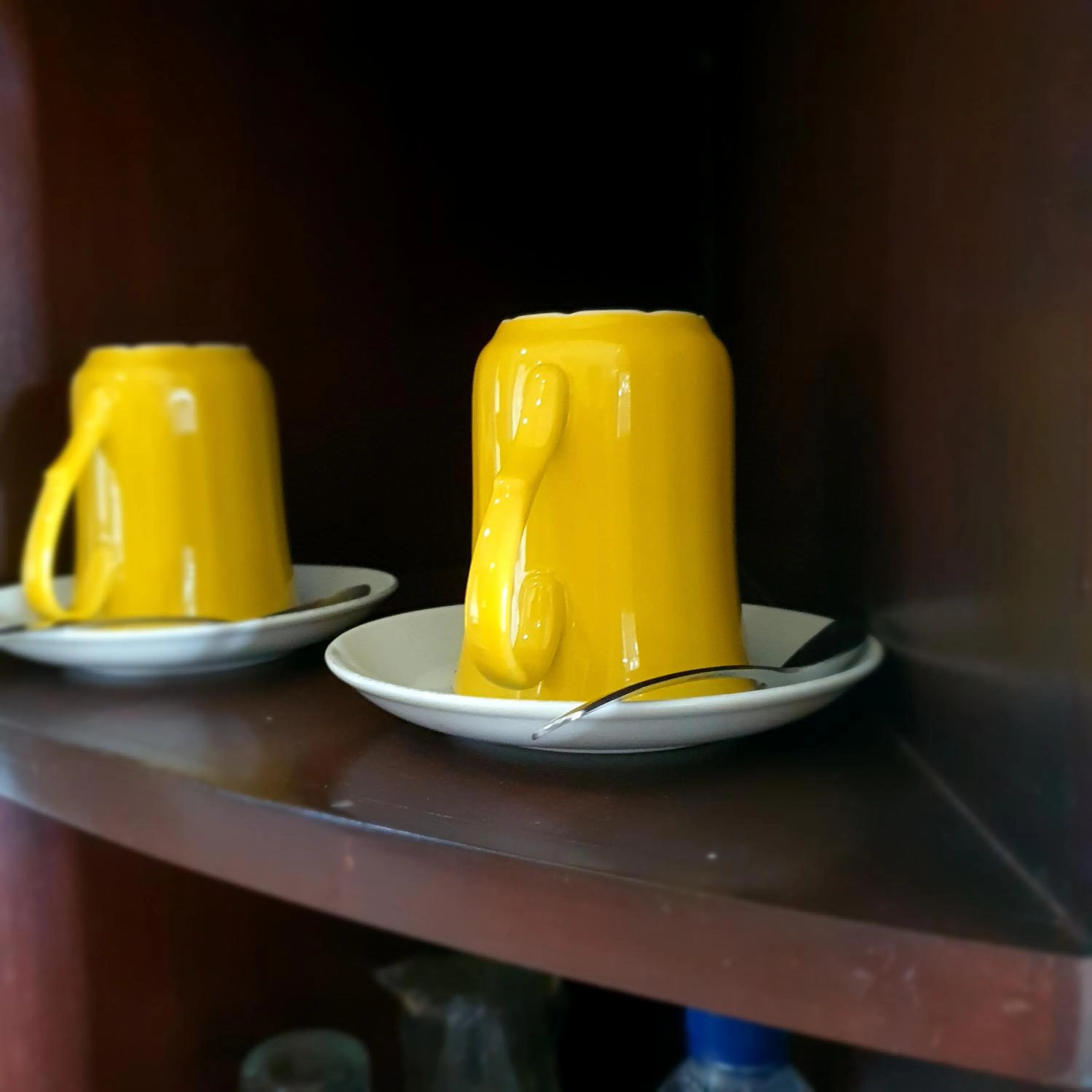 Coffee/tea facilities in Tengger Guesthouse