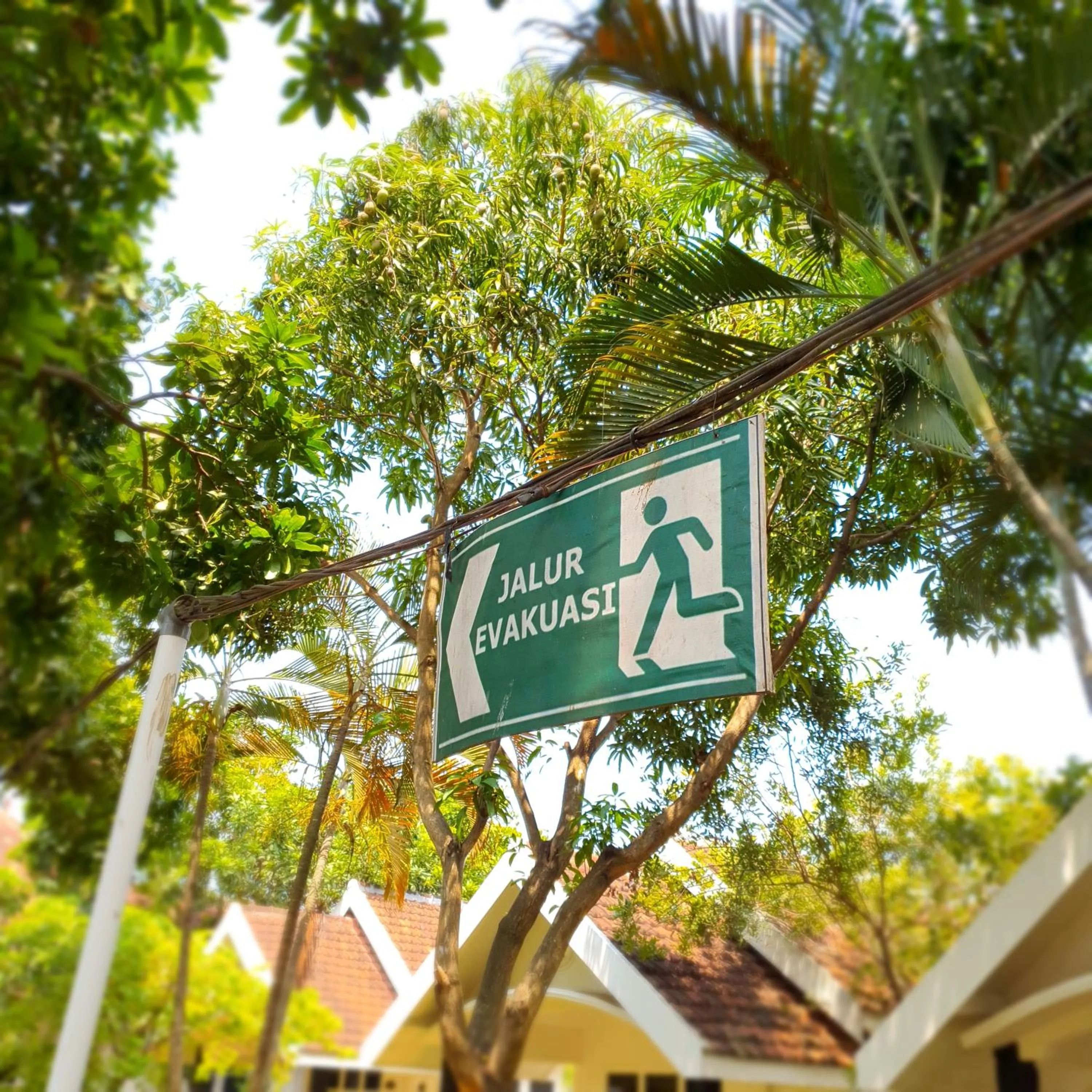 Property building in Tengger Guesthouse