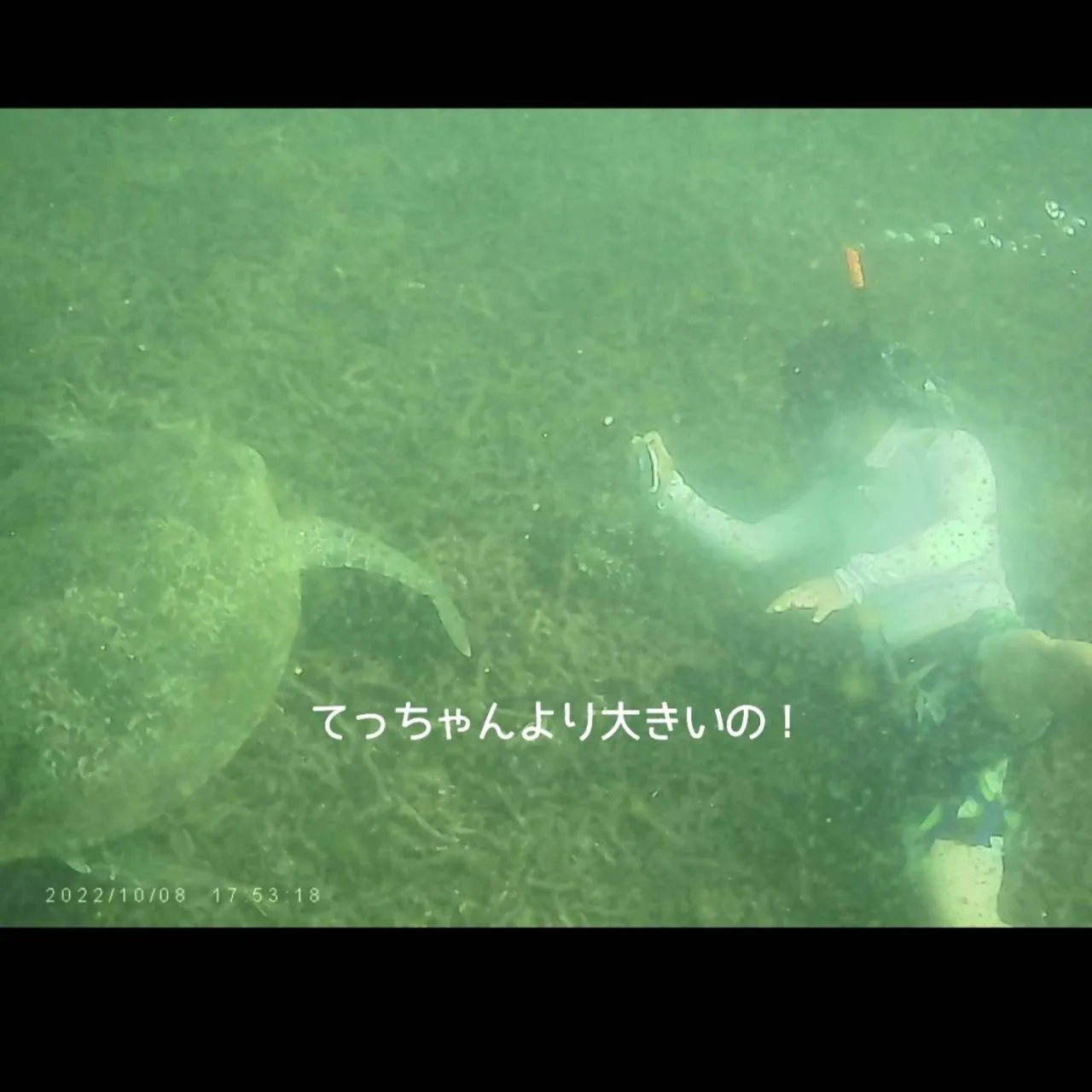 Snorkeling in OK2 Mamajim Bungalows