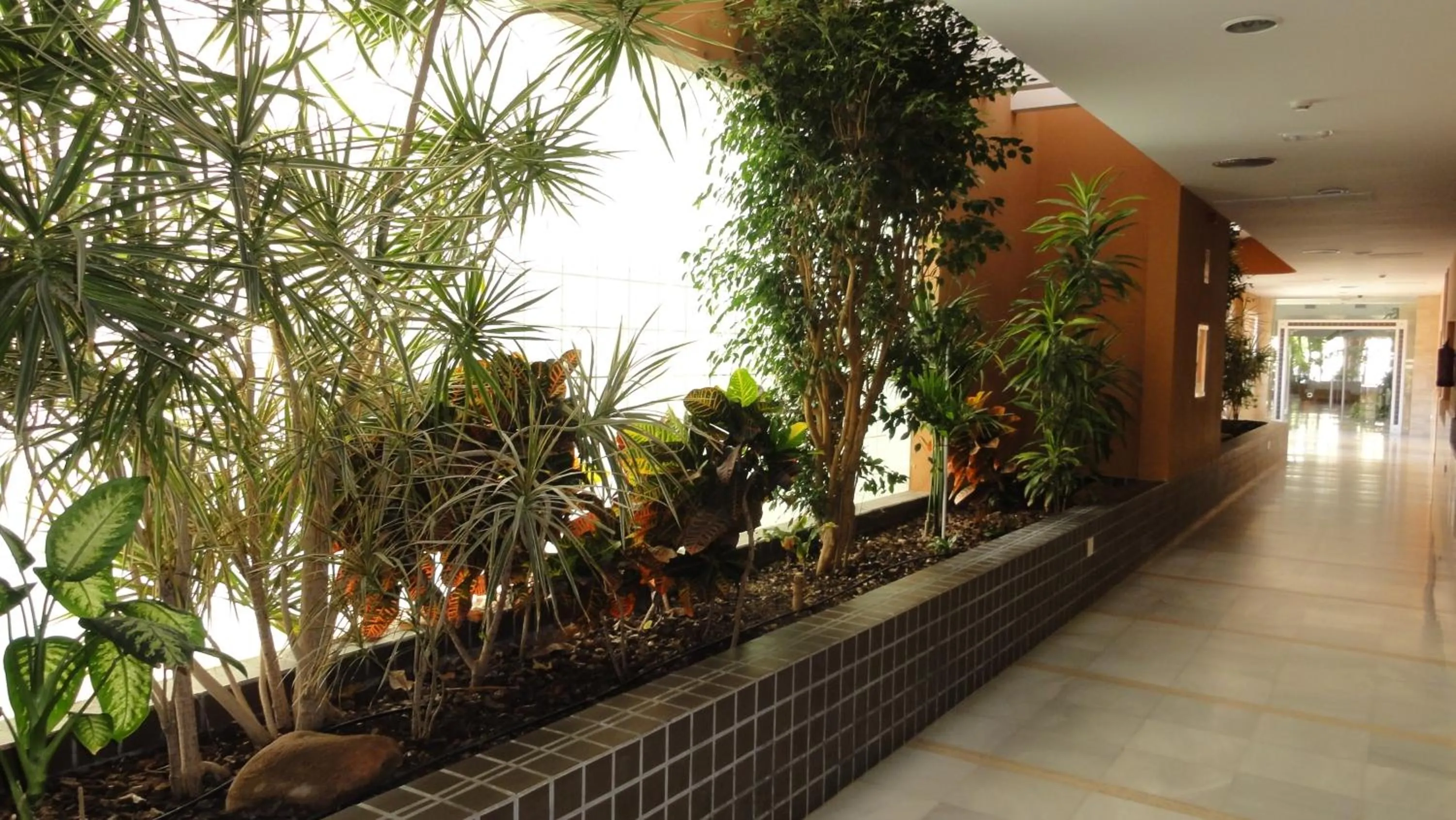 Decorative detail in Arena Center