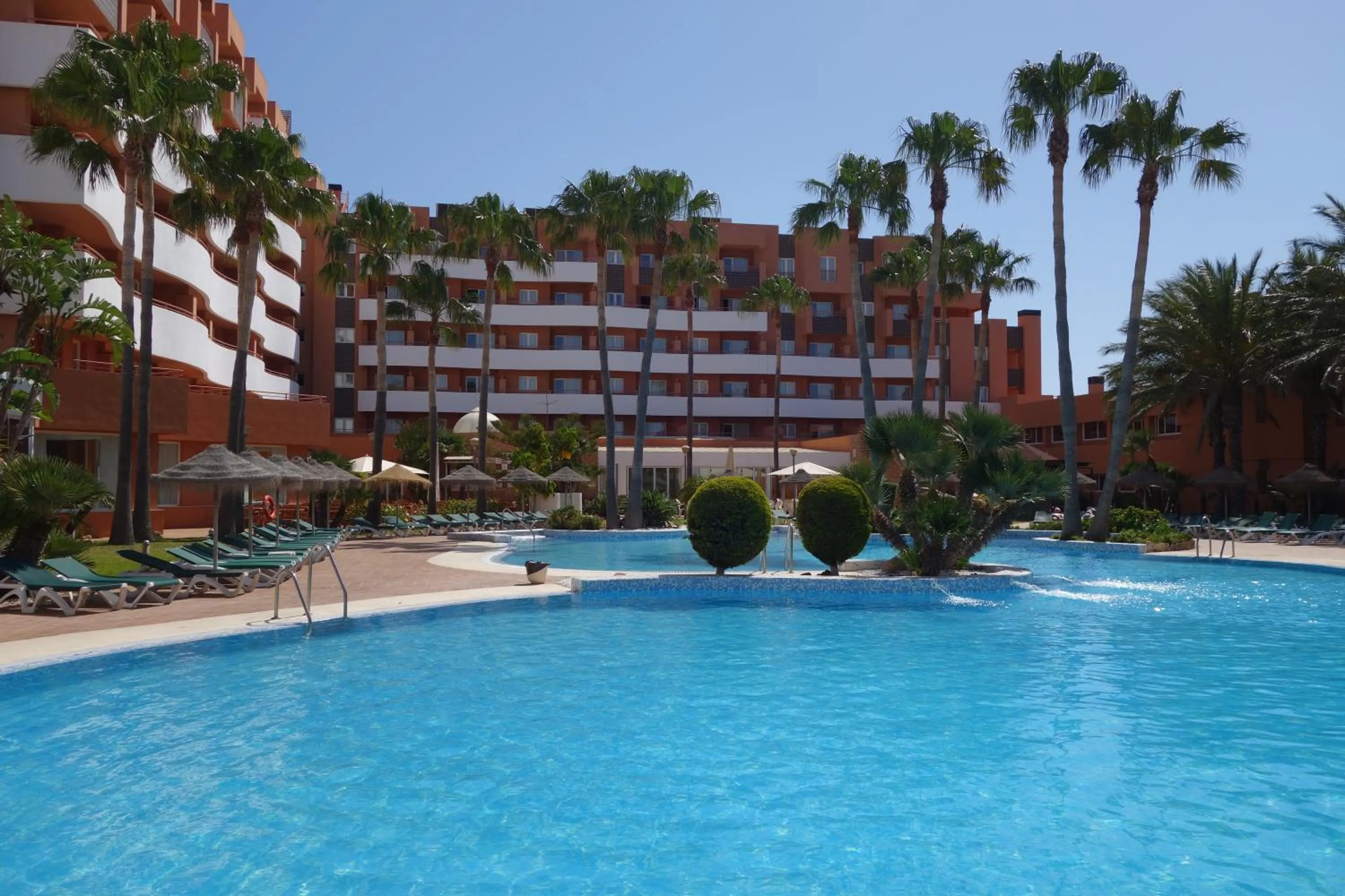 Garden in Arena Center