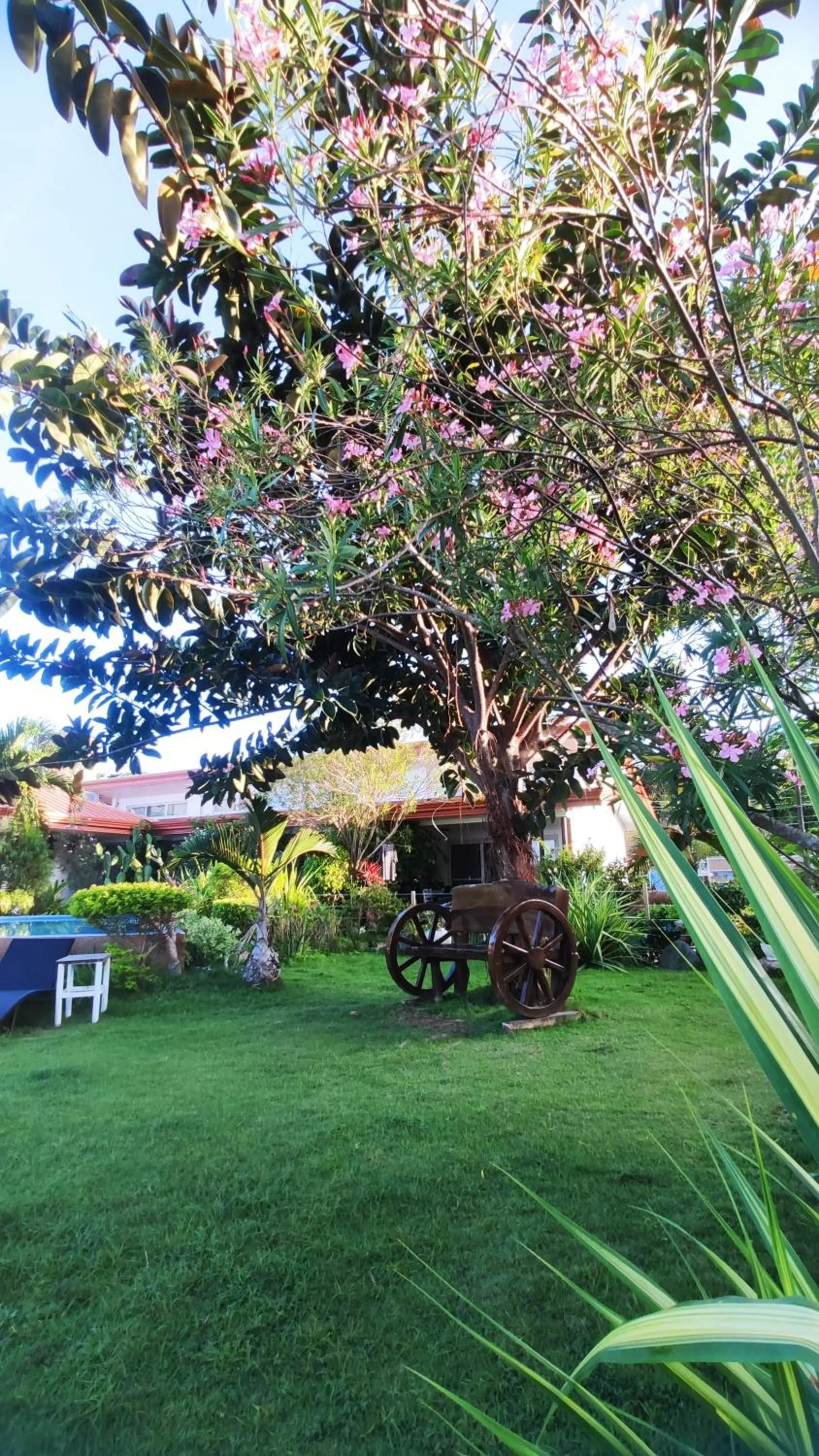 Day in SEAVIEW BEACH RESORT