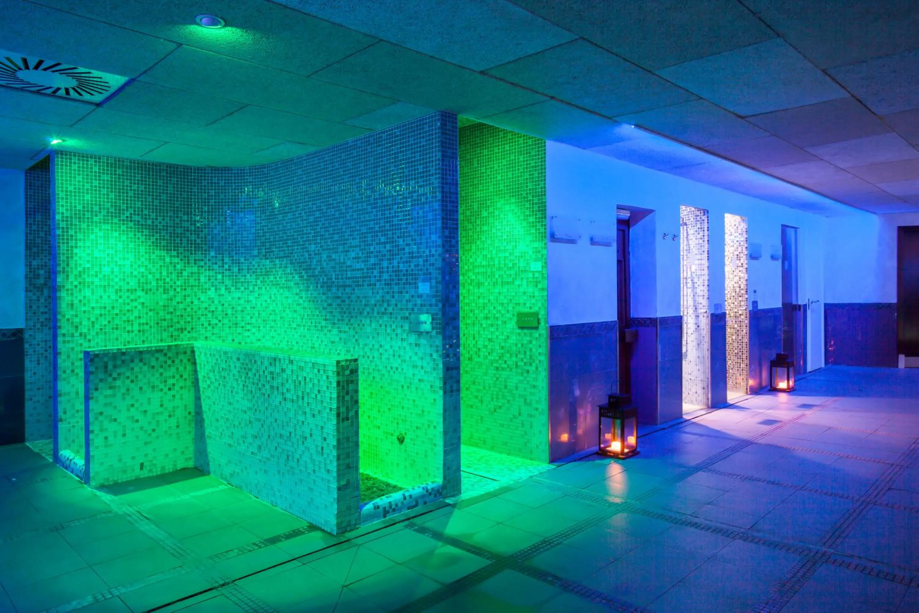 Spa and wellness centre/facilities in Occidental Aranjuez