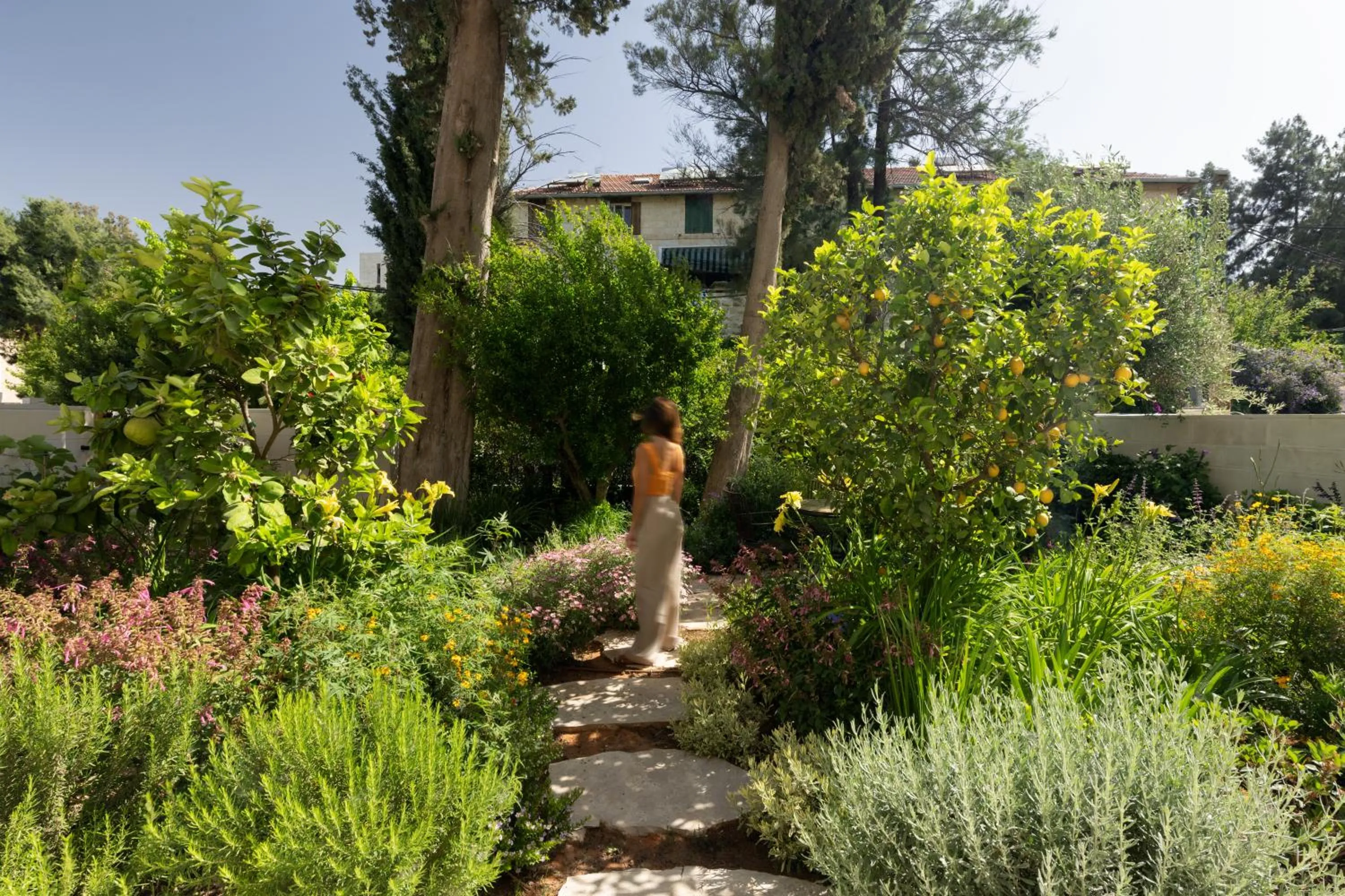 Garden in THE Y HOUSE