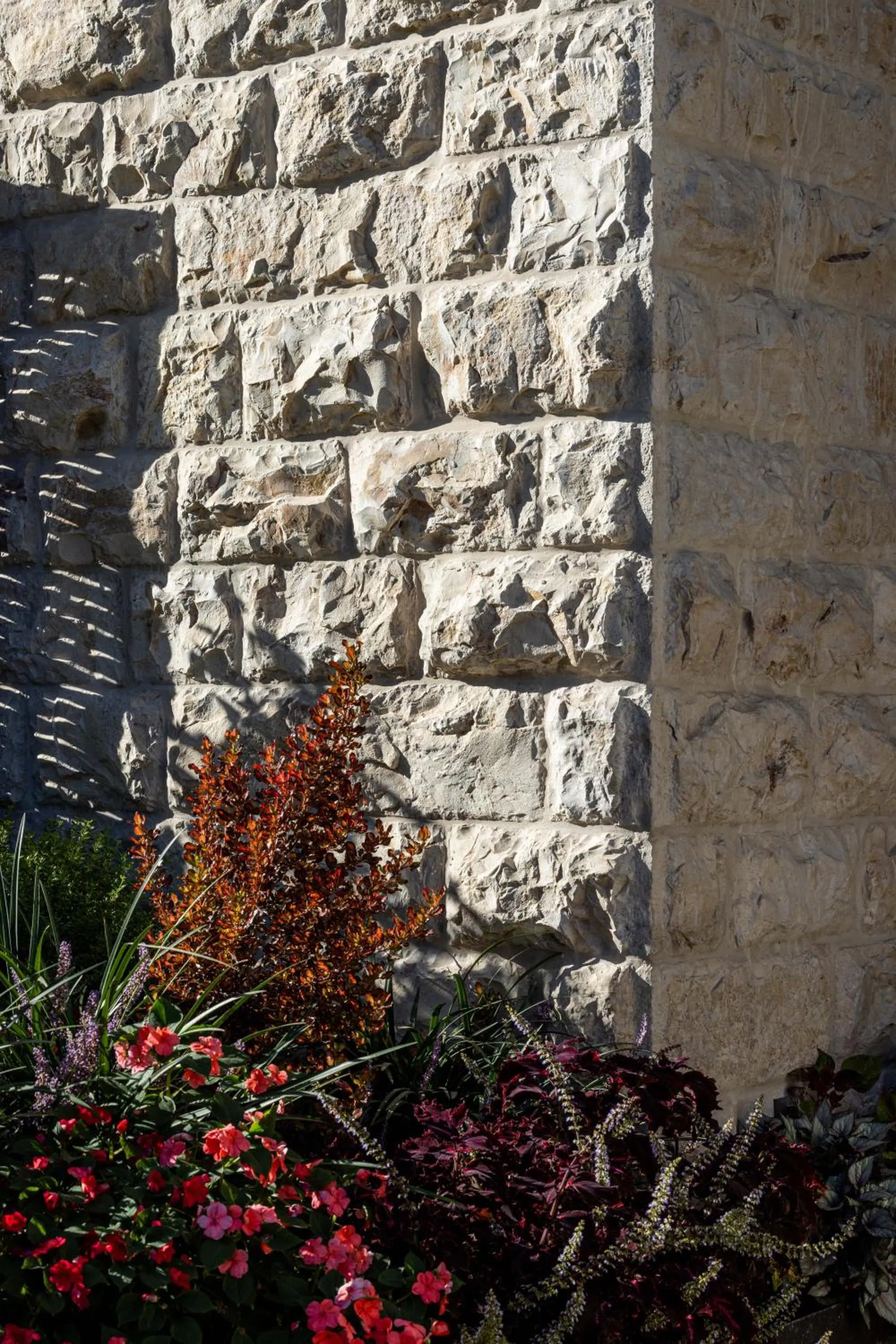 Garden in THE Y HOUSE