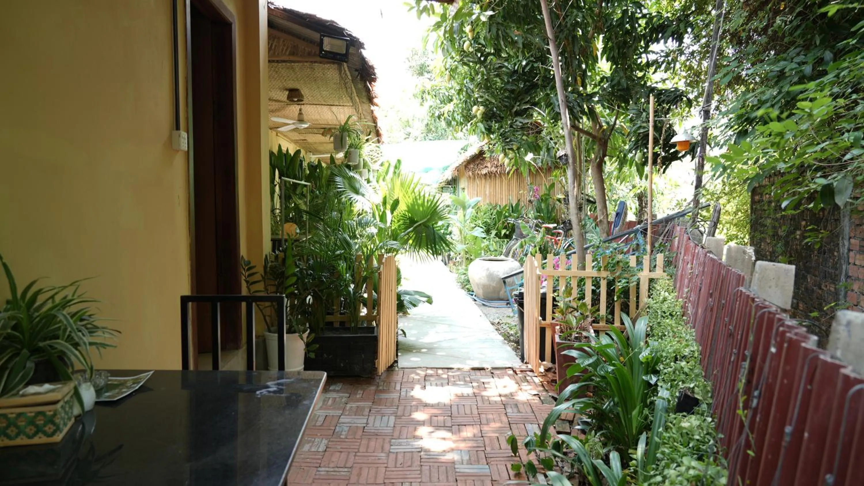 Day in Siem Reap Homesteading II