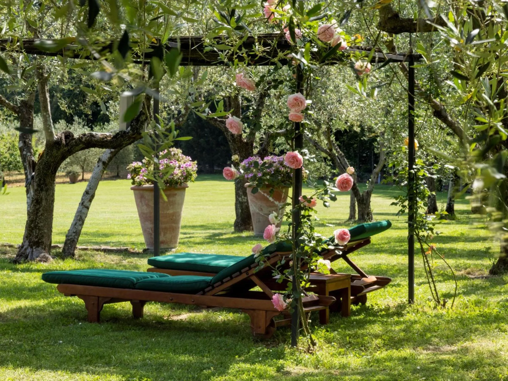 Garden in Tenuta le Viste - panoramic Villa