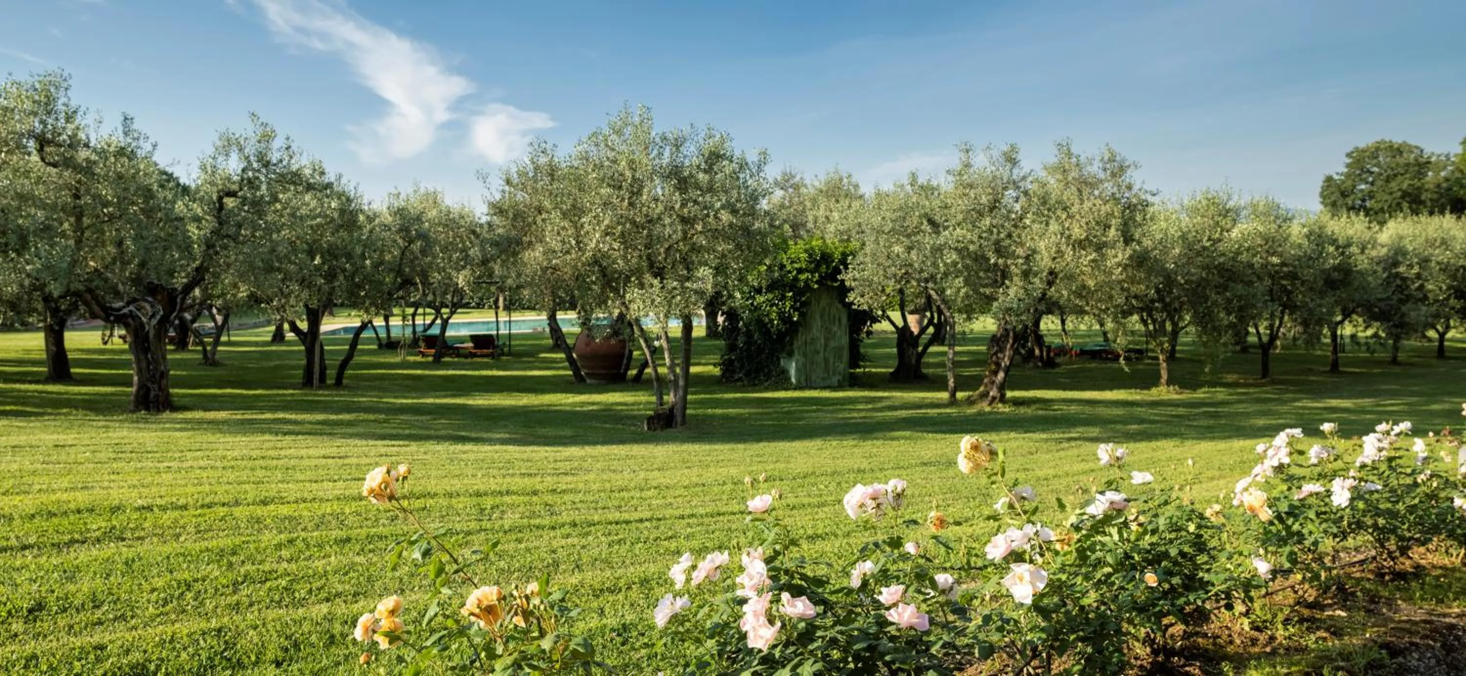 Garden in Tenuta le Viste - panoramic Villa