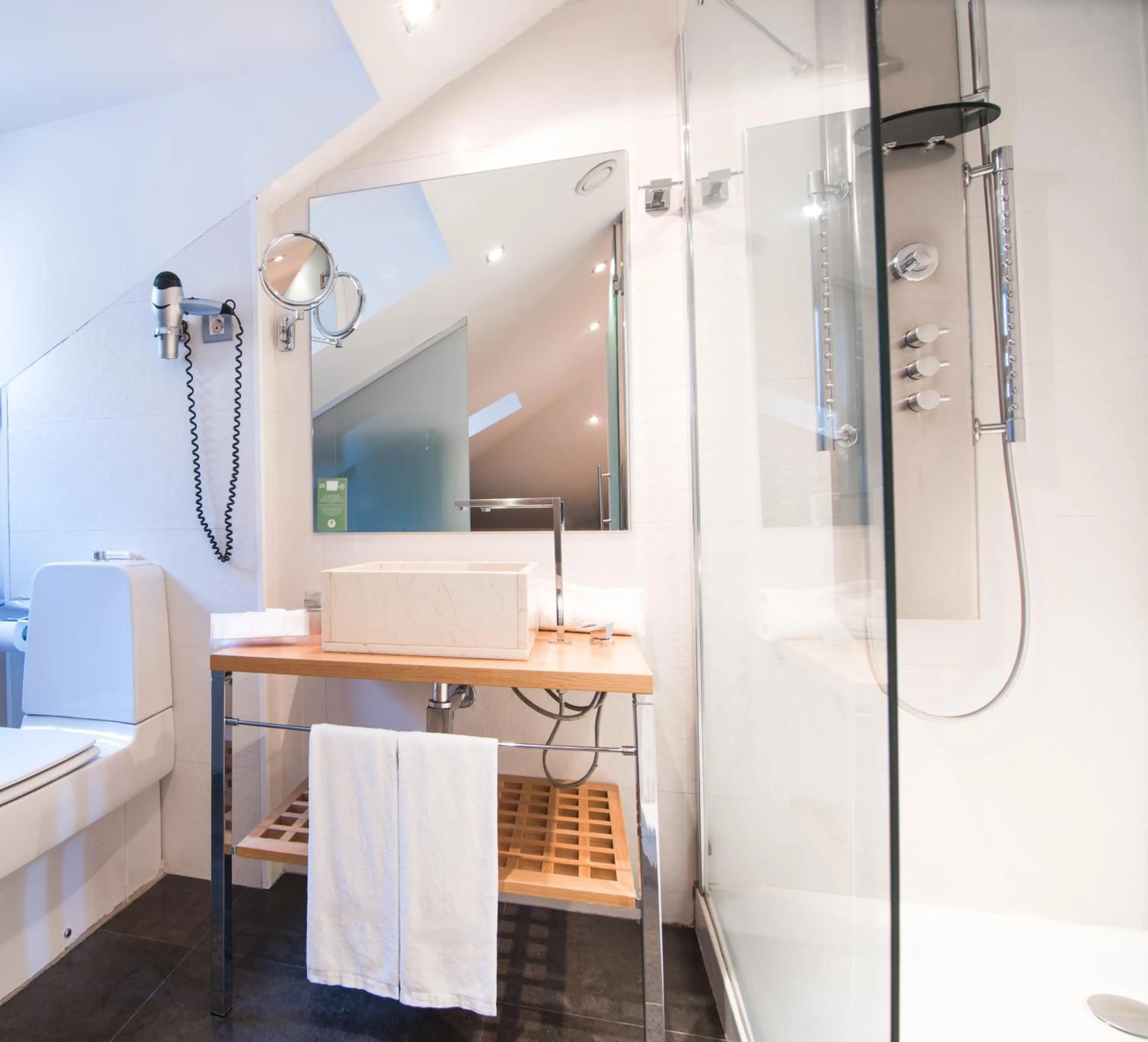 Shower in Petit Palace Posada del Peine