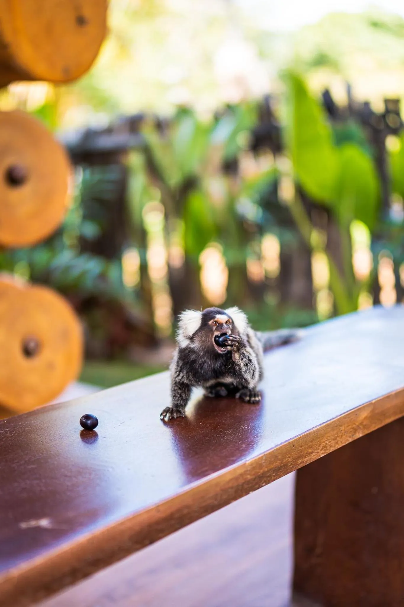 Day in Mikiki Lifestyle Hotel