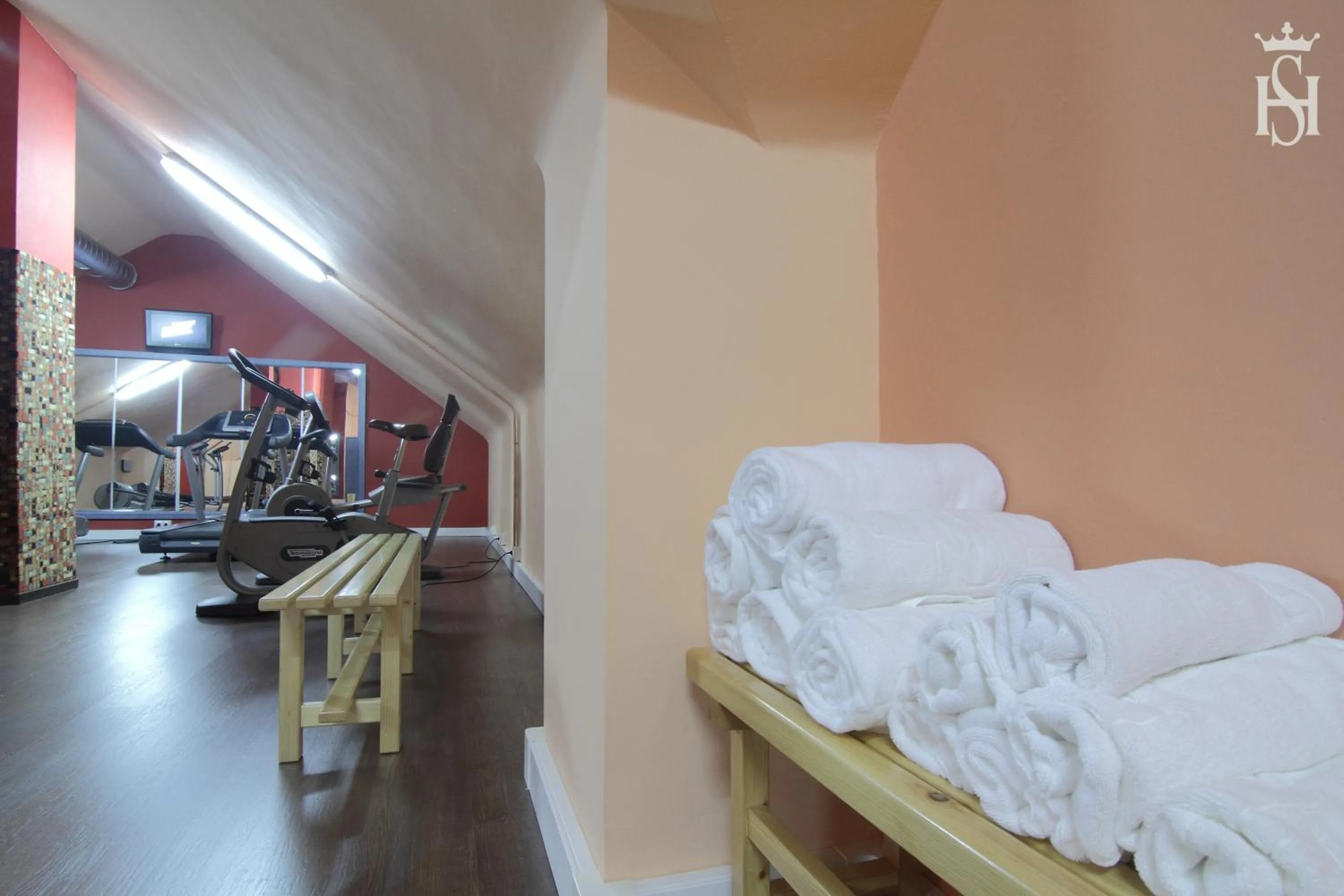 Fitness centre/facilities in Hospedium Hotel Europa Centro