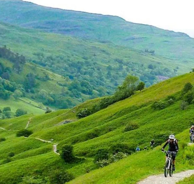 Natural landscape in The Berry Boutique