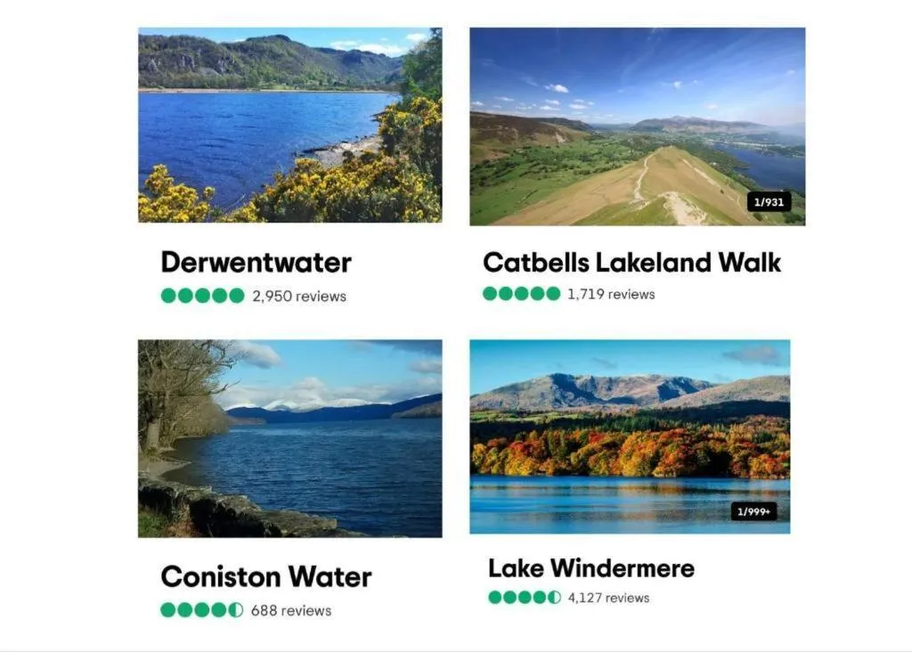 Activities in The Berry Boutique