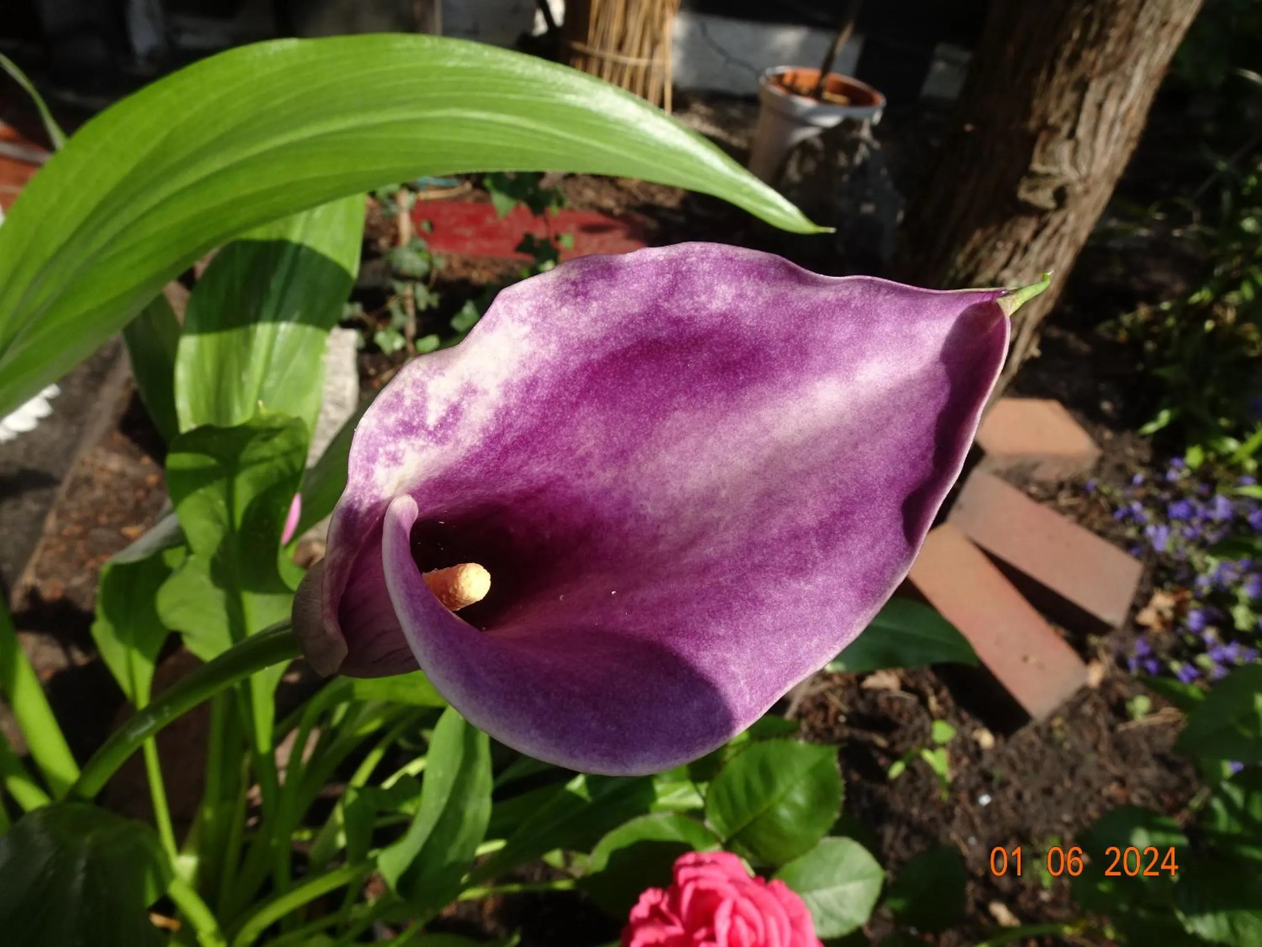 Hotel zum alten Torfkahn