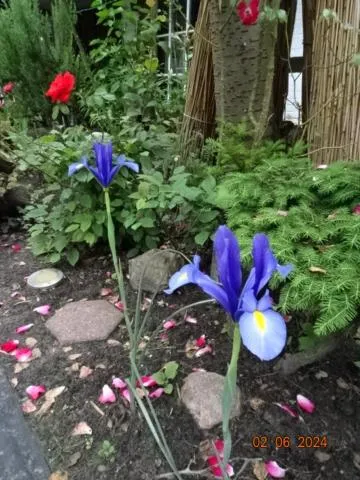 Hotel zum alten Torfkahn