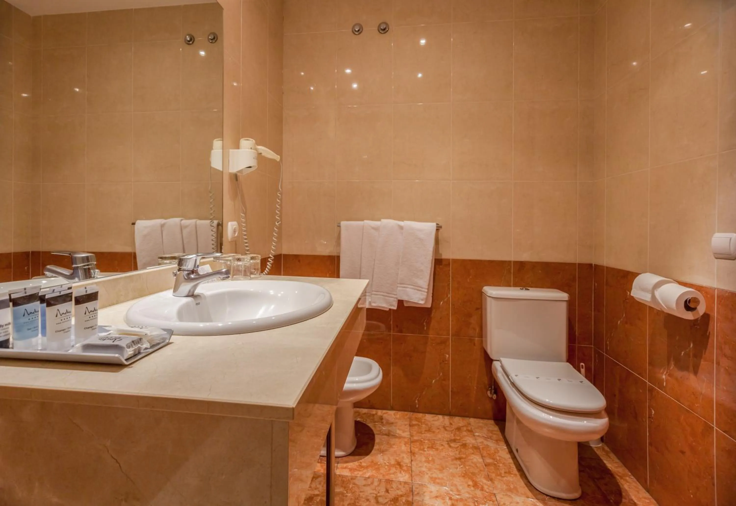 Toilet in Hotel Andia