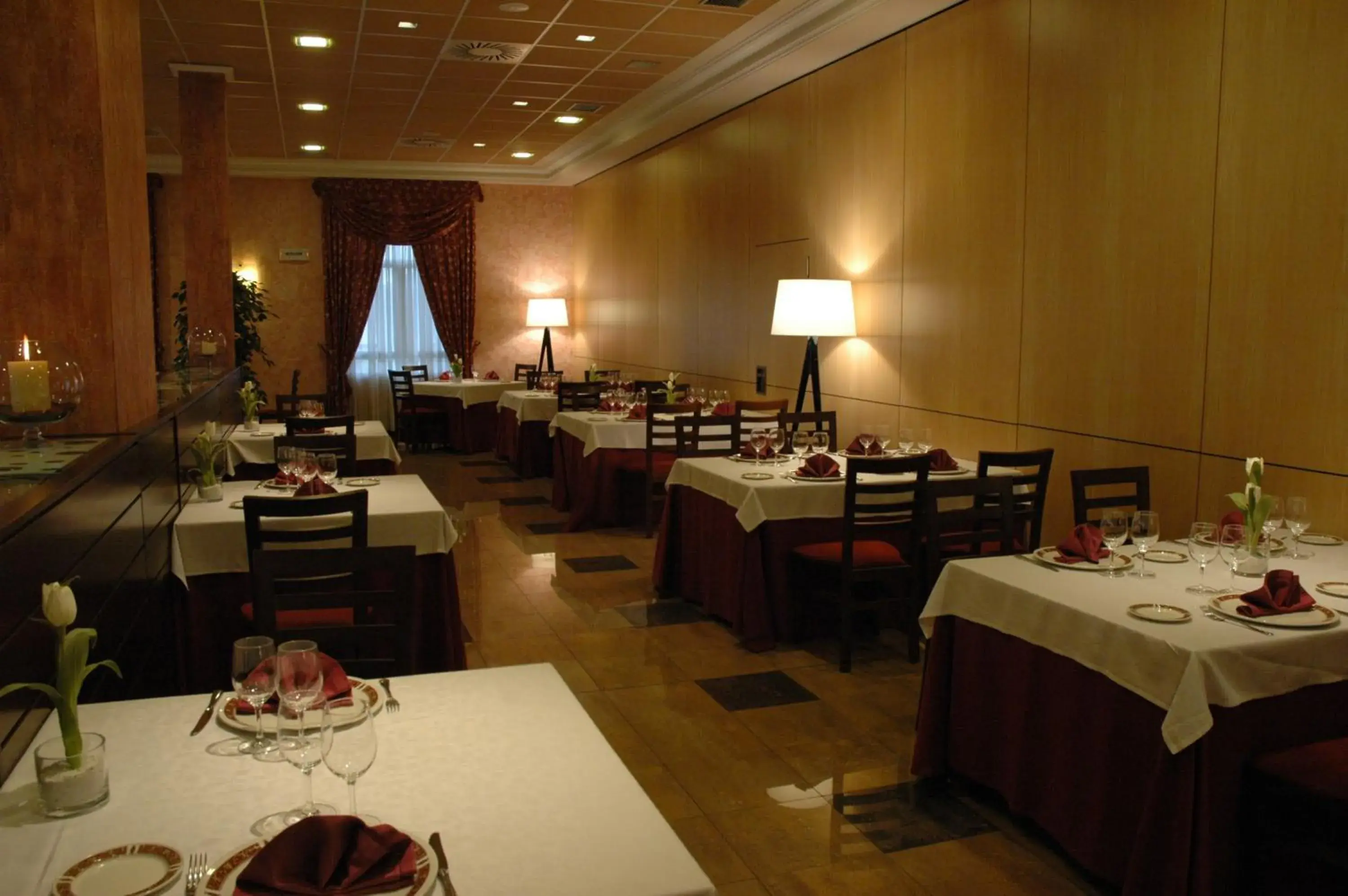Restaurant/places to eat in Hotel Andia Restaurant/places to eat in Hotel Andia