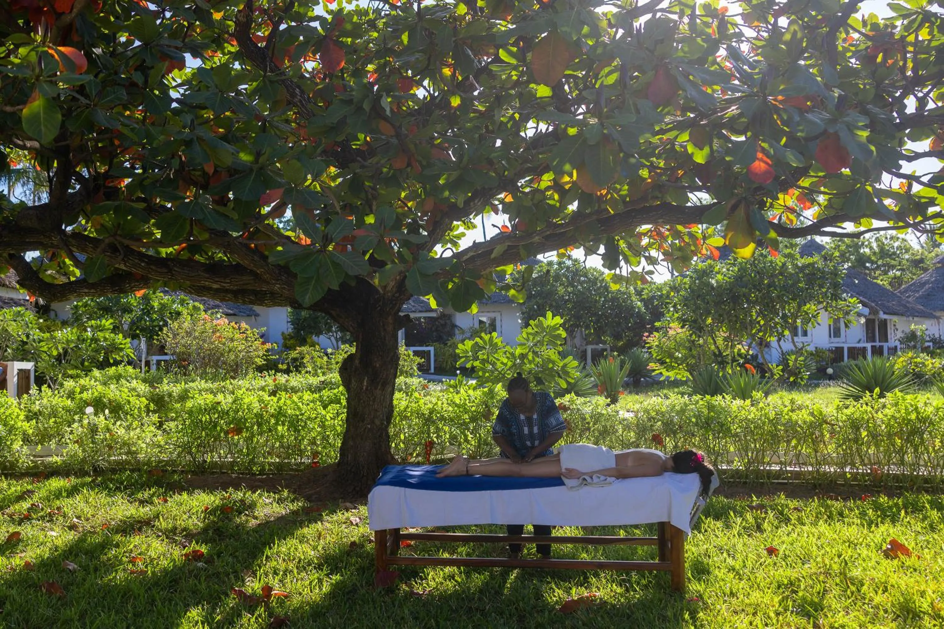 Natural landscape in F-Zeen Boutique Hotel Zanzibar