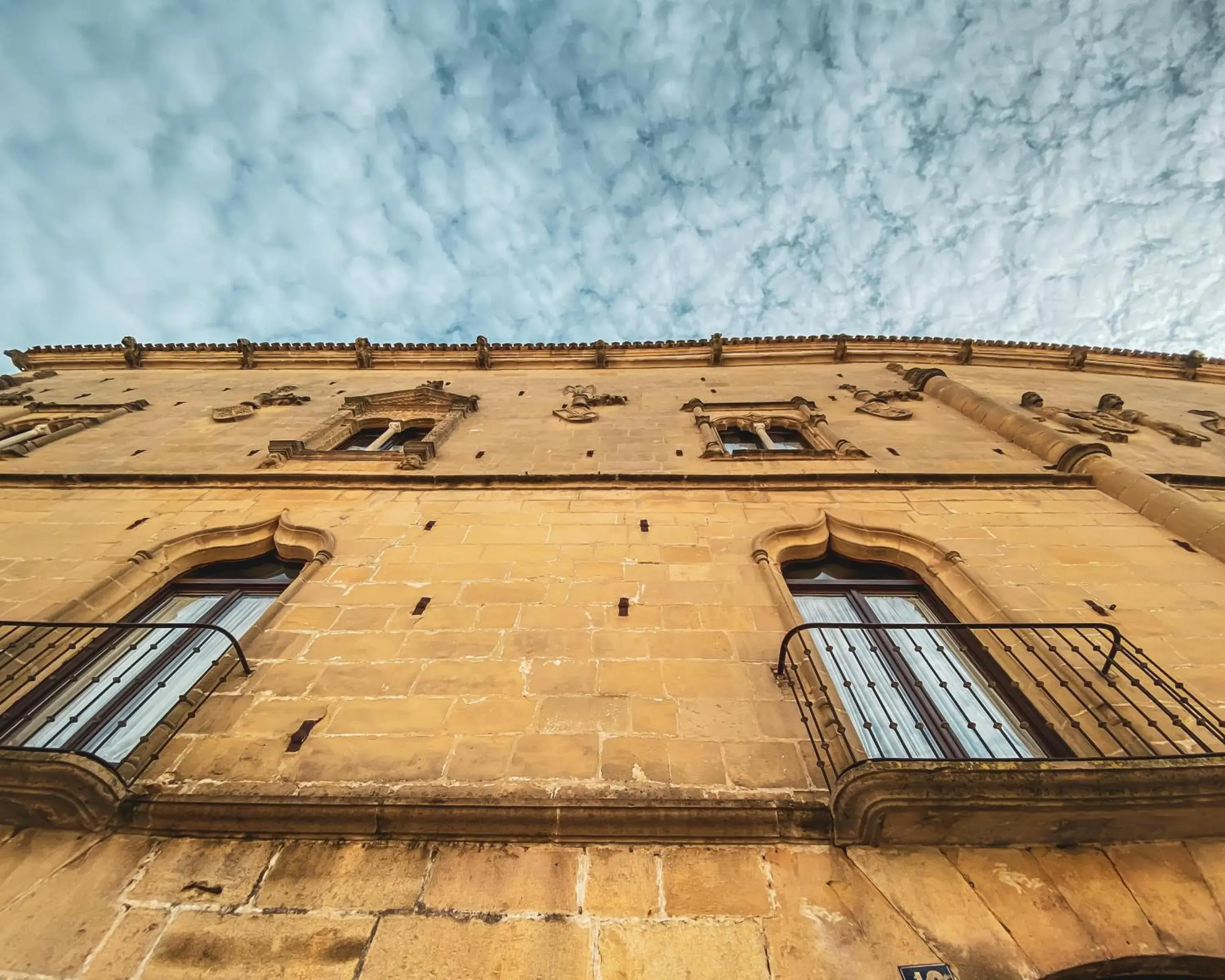 Facade/entrance in Hotel Cetina Palacio de los Salcedo Facade/entrance in Hotel Cetina Palacio de los Salcedo