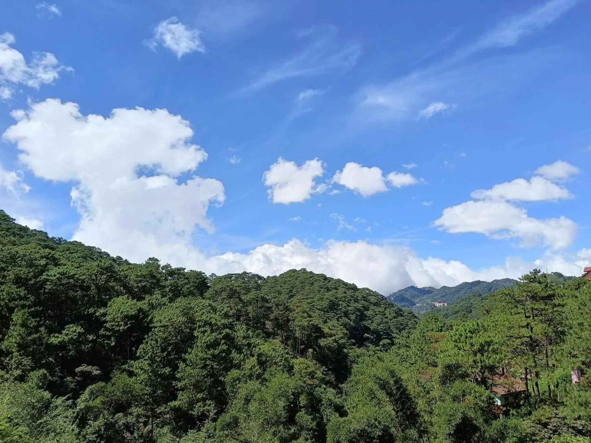 View (from property/room) in Misty Hills