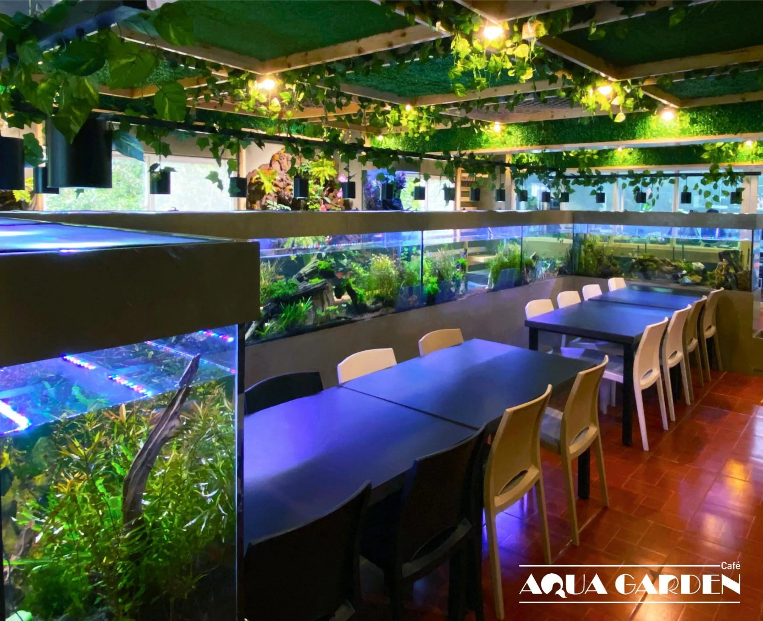 Property building in Misty Hills