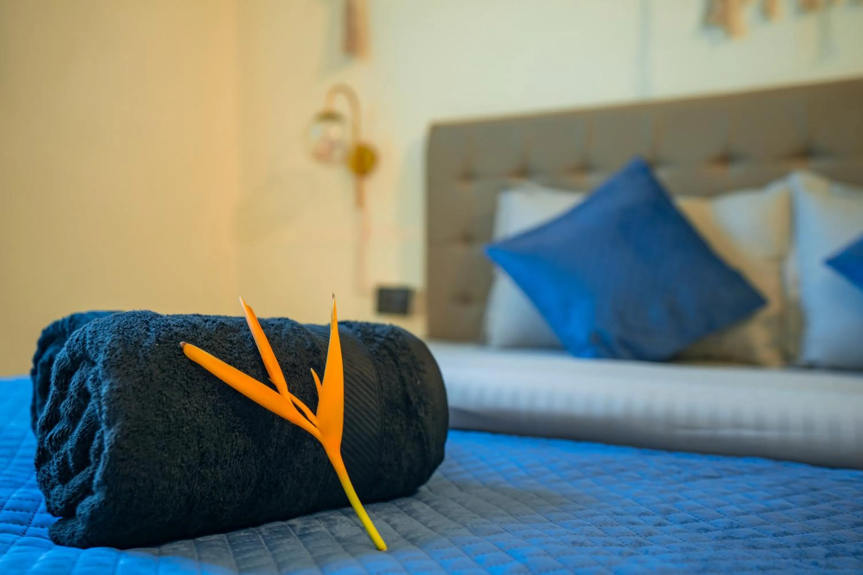 Bed in Shalom Backpackers Anjuna Goa