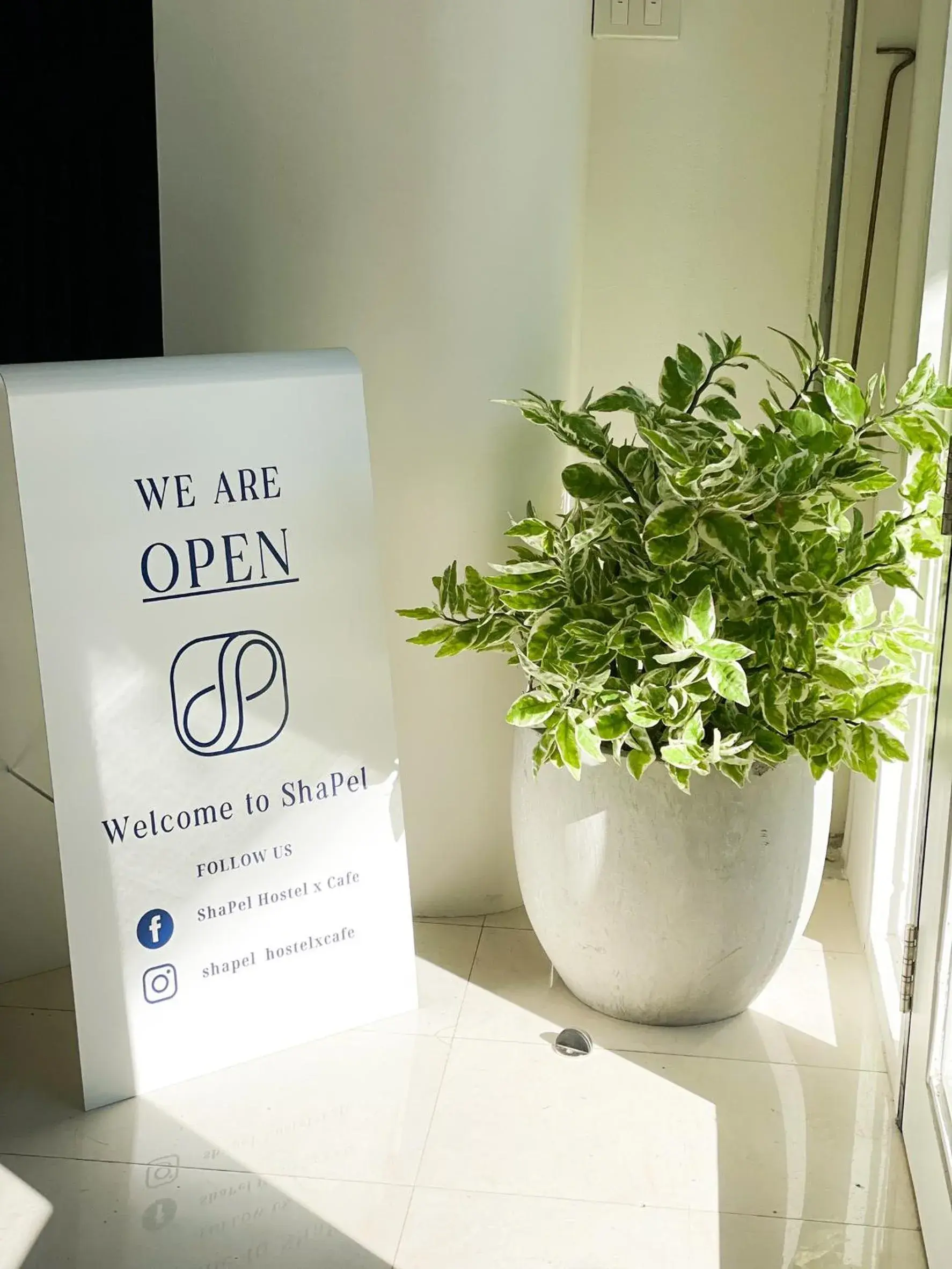 Lobby or reception in Shapel Hostel and Cafe Lobby or reception in Shapel Hostel and Cafe