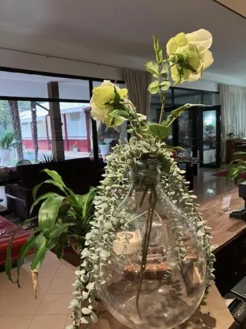 Restaurant/places to eat in Hotel Rey's