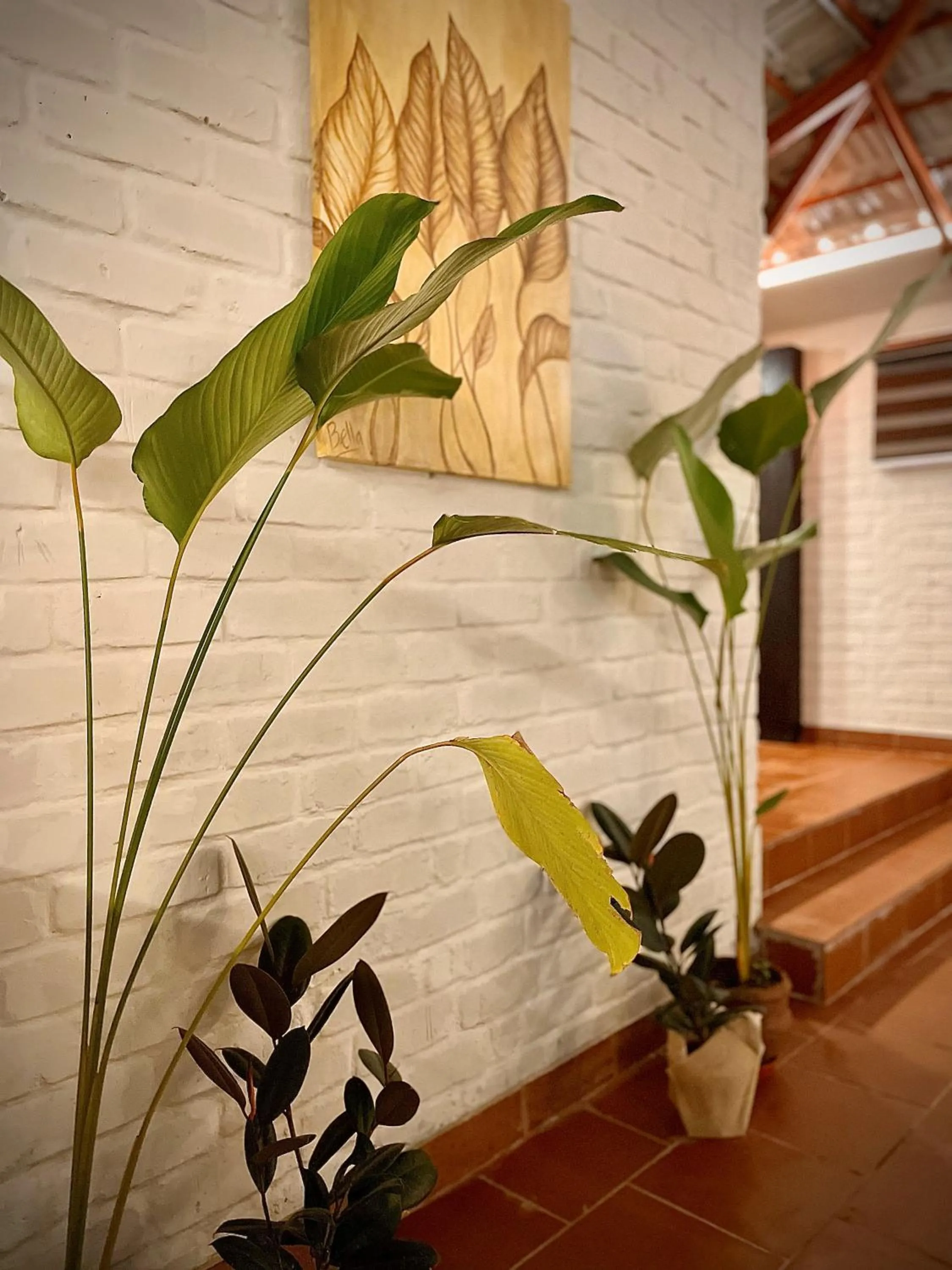 Living room in Boho's Hotel