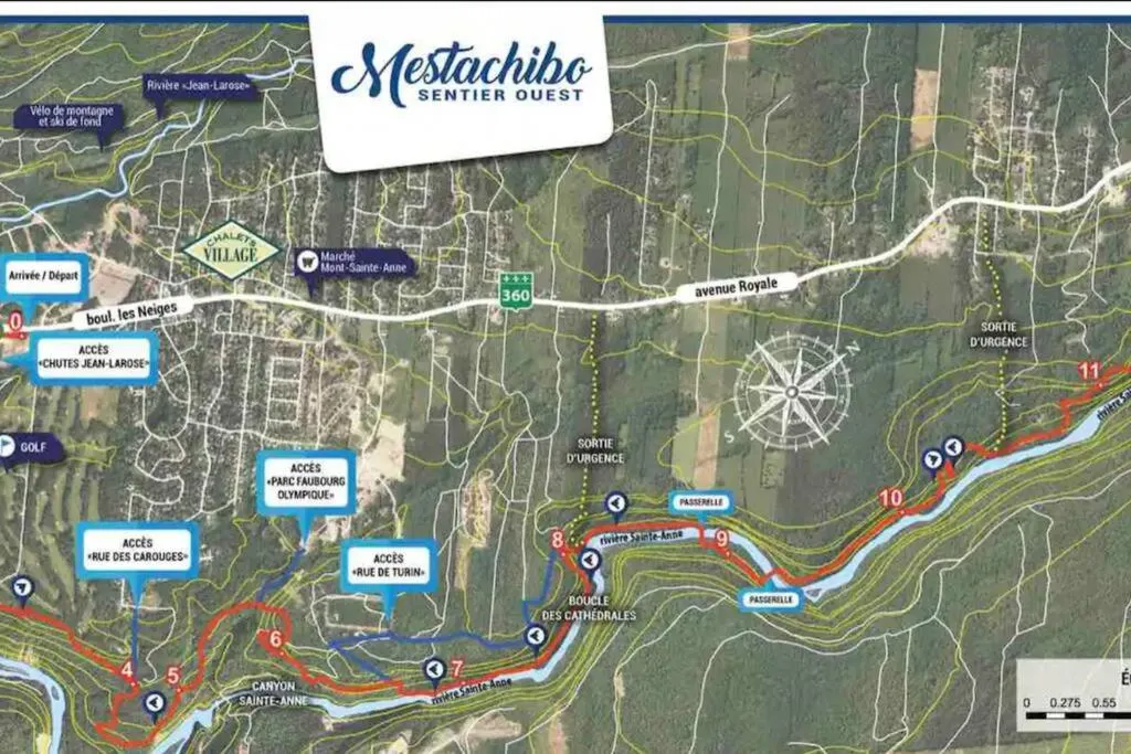 Activities in Initial- Soeur No15 - MSA