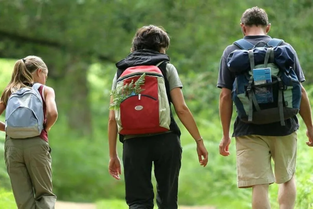 Natural landscape in Initial- Soeur No15 - MSA