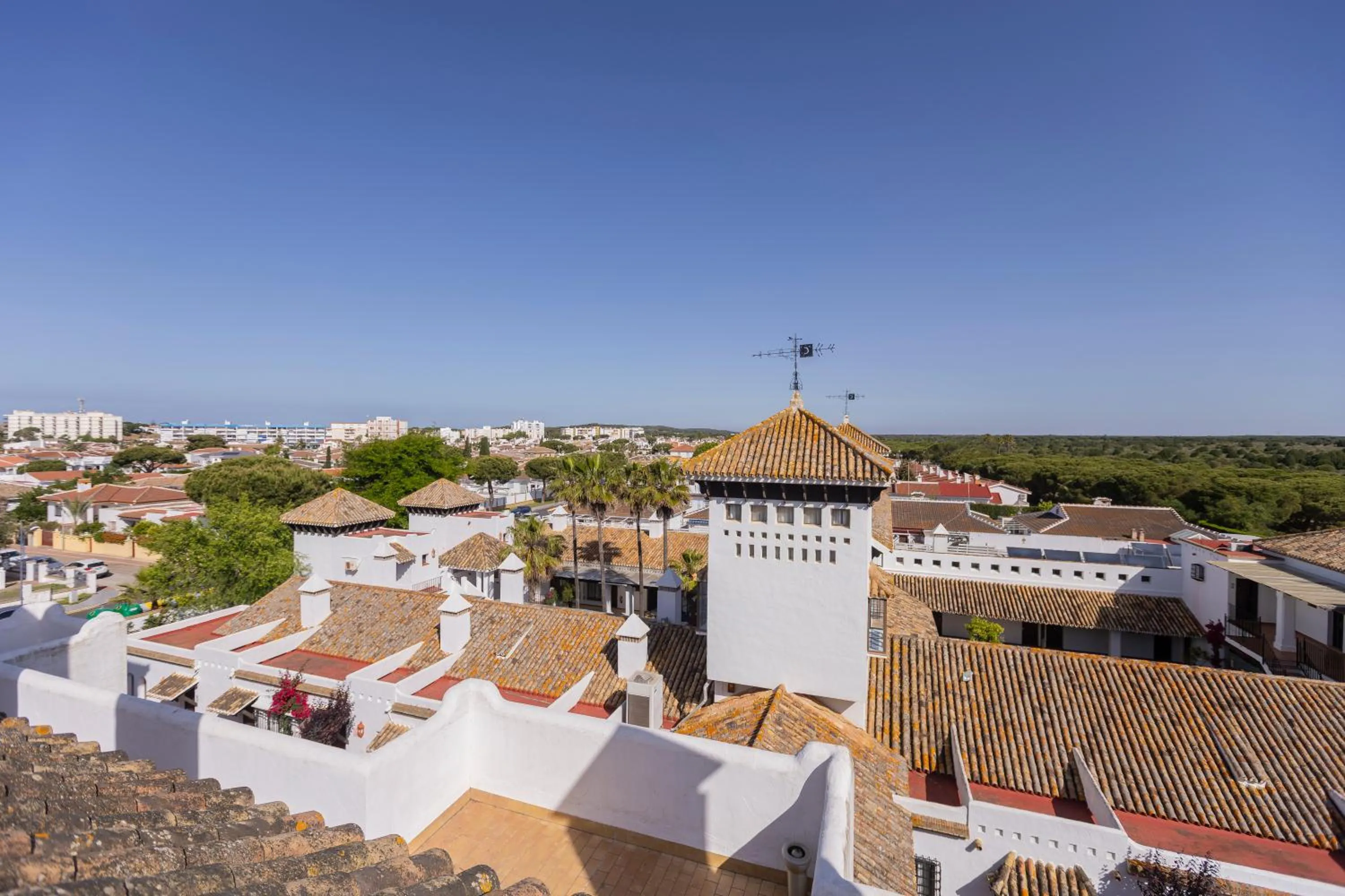 Moon Dreams El Cortijo