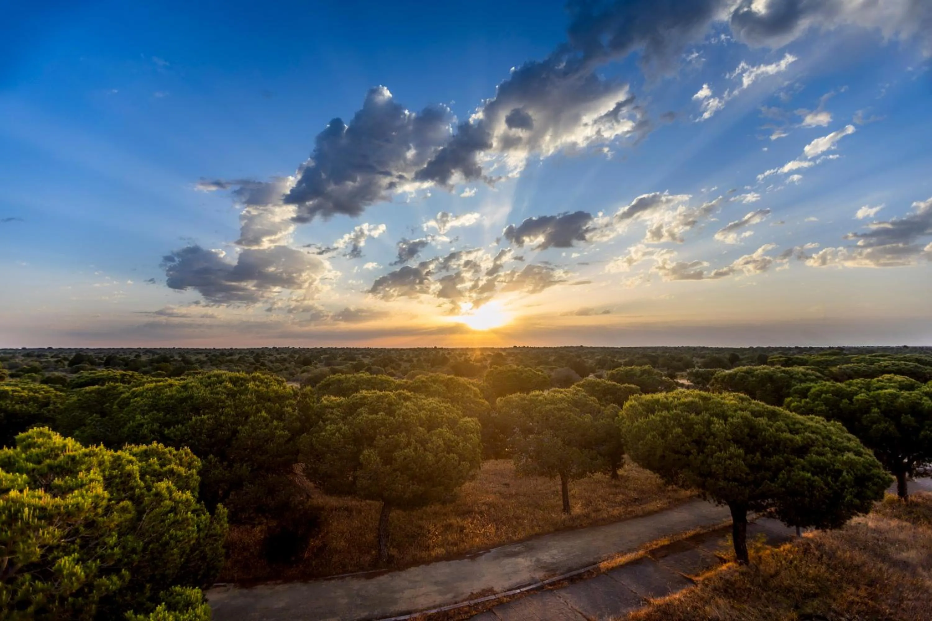 Moon Dreams El Cortijo