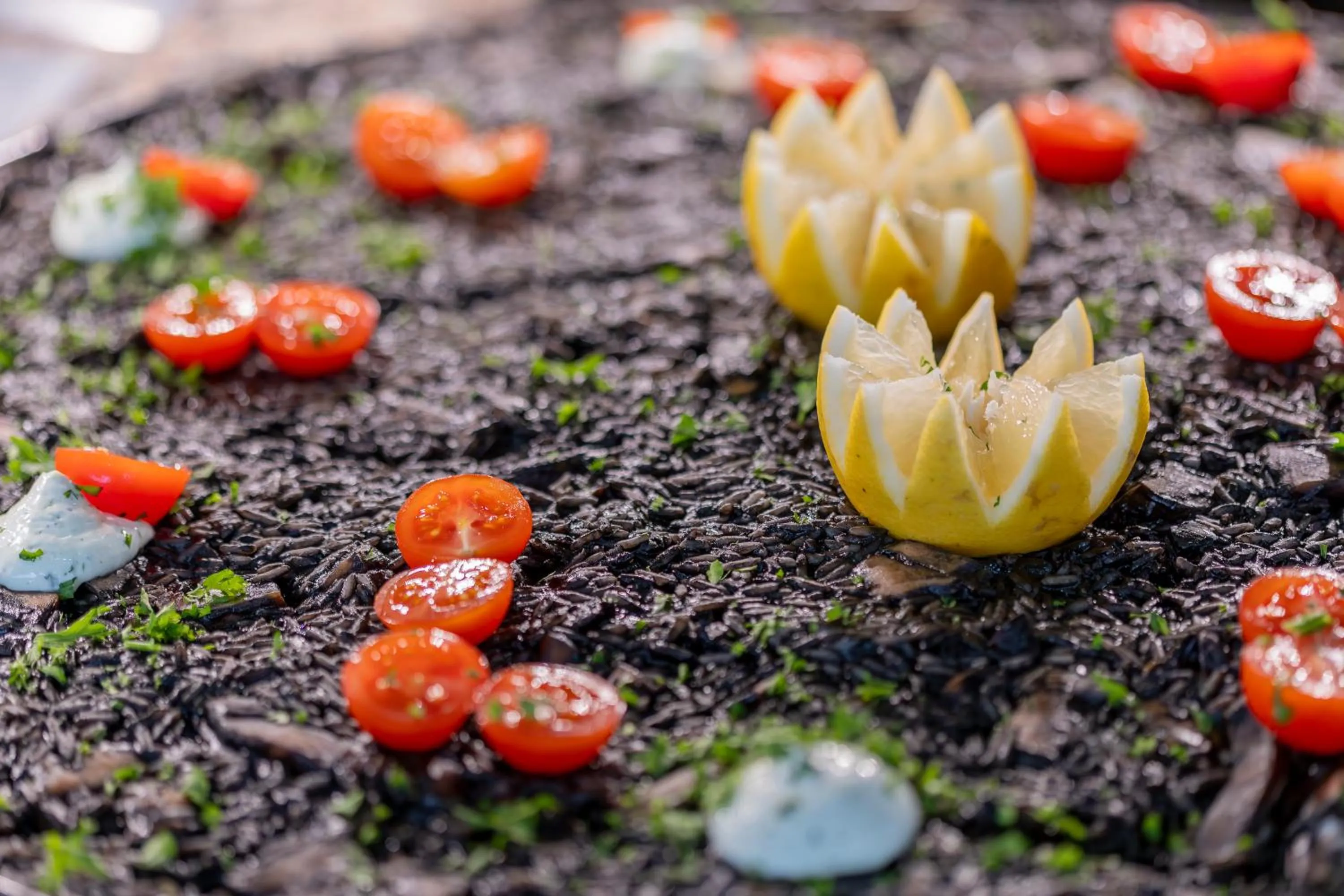 Moon Dreams El Cortijo