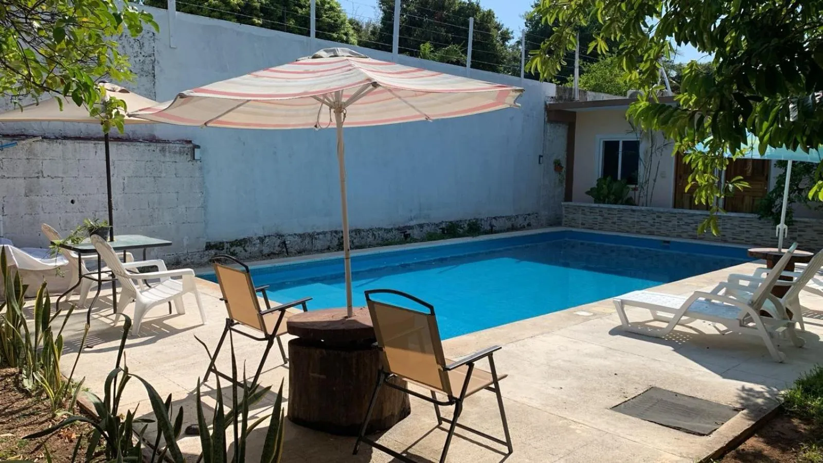 Swimming pool in Casa Terracota