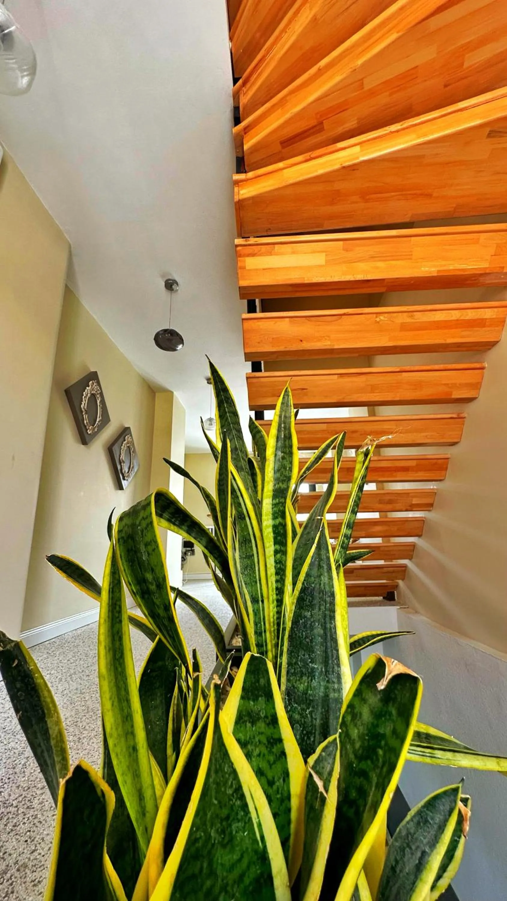 Property building in Sulty's Avlu