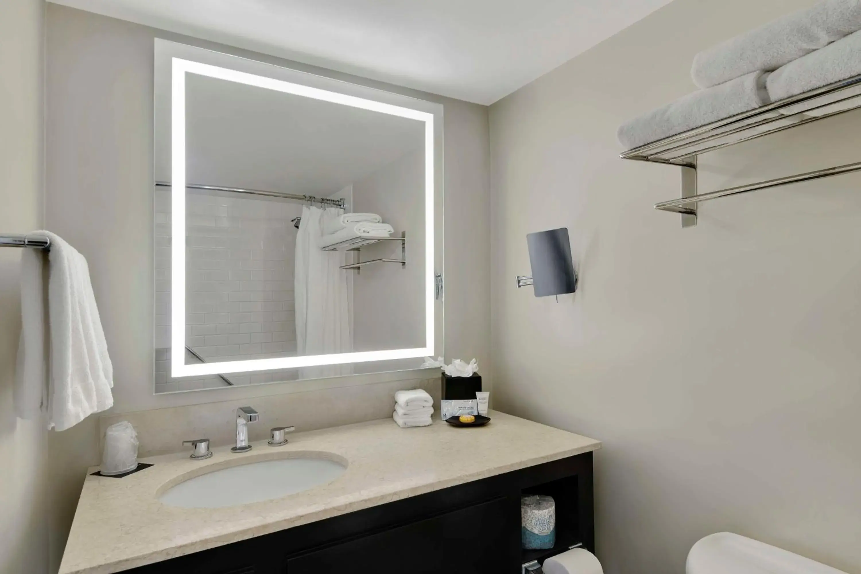 King Room with Bath Tub and River View - single occupancy - Mobility Accessible in Hotel Tampa Riverwalk King Room with Bath Tub and River View - single occupancy - Mobility Accessible in Hotel Tampa Riverwalk